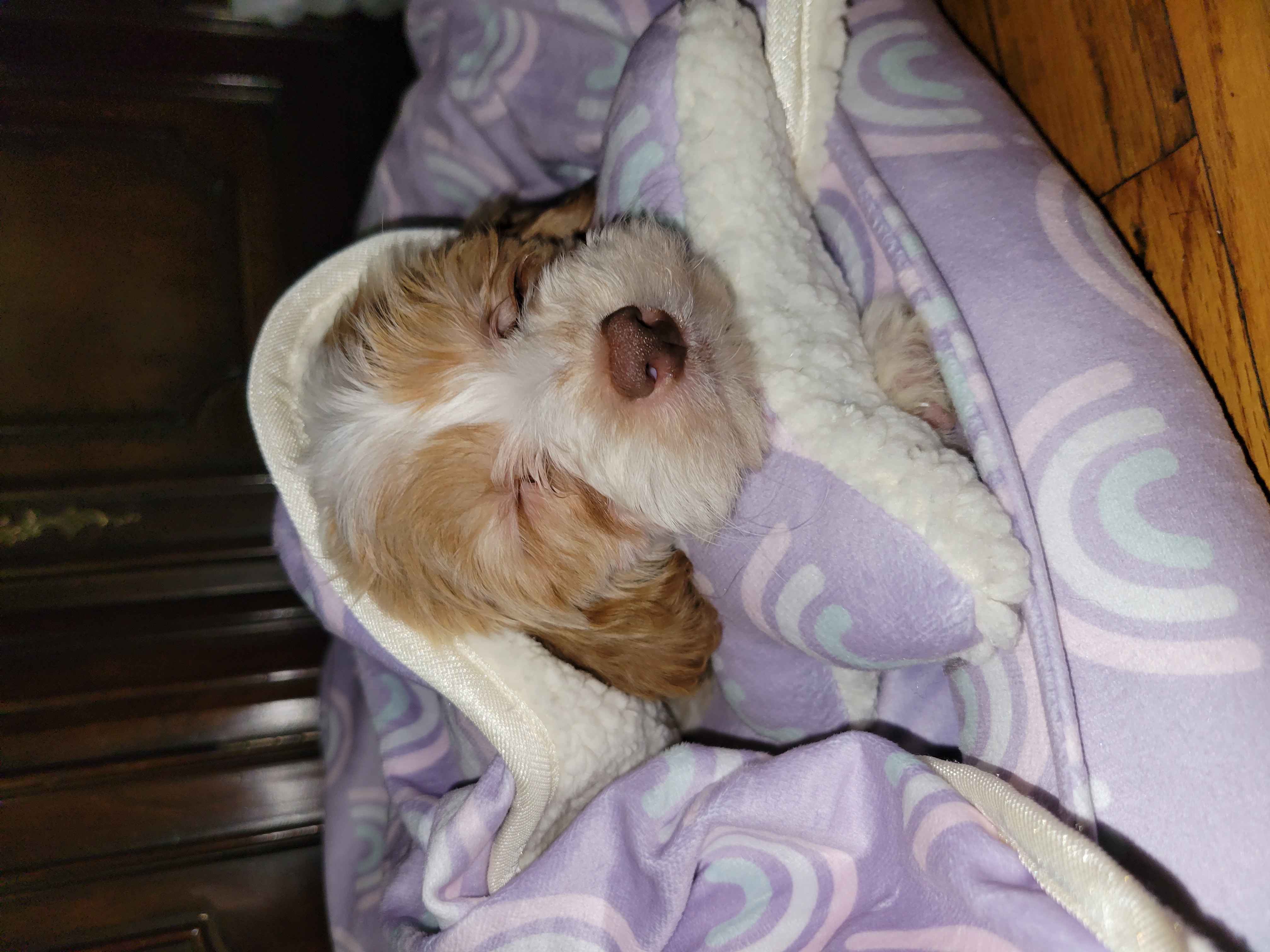 Photo Review Submission from Cynthia Gutierrez