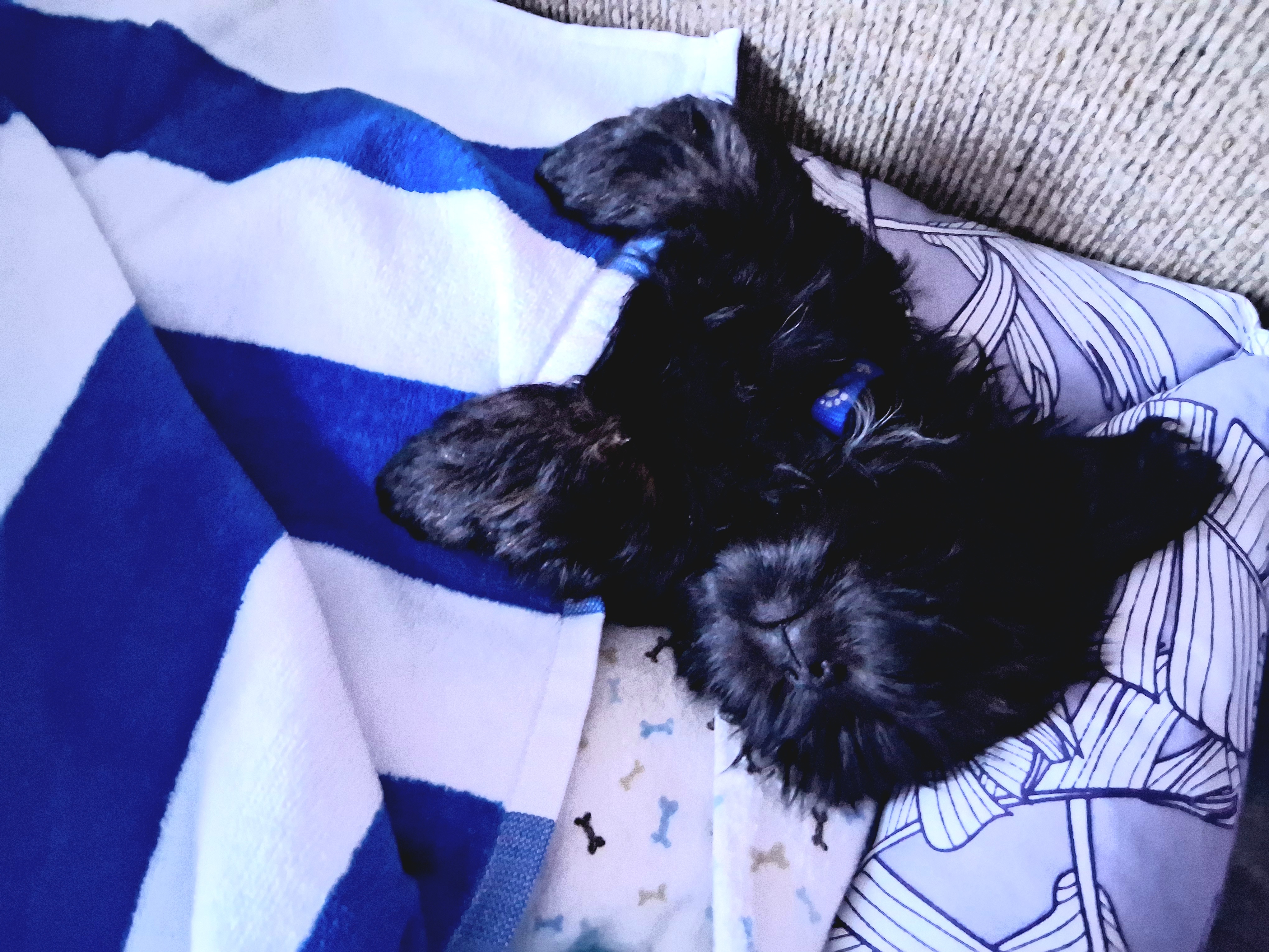 Photo Review Submission from Trisha Armstrong