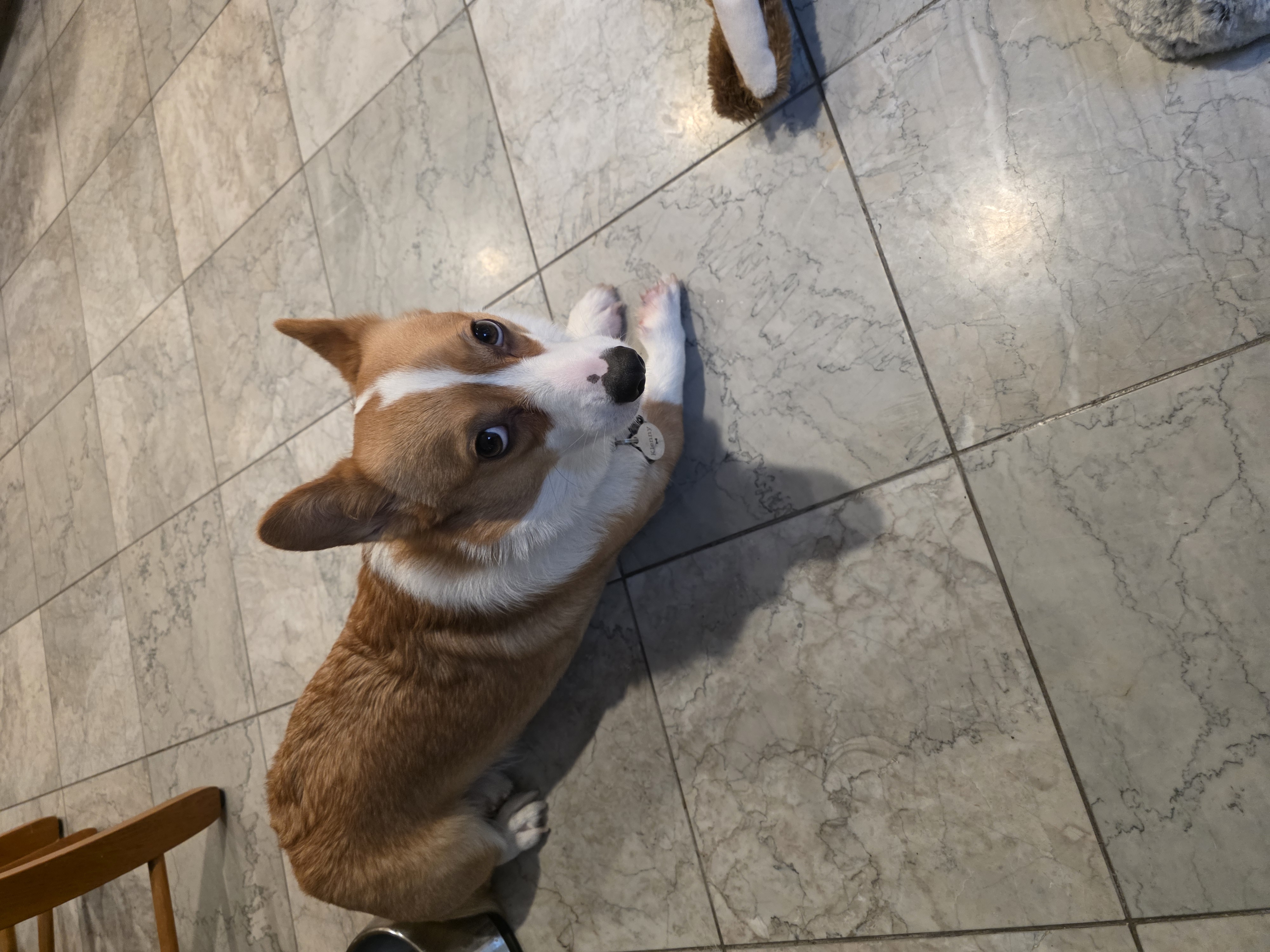 Photo Review Submission from Dan T.