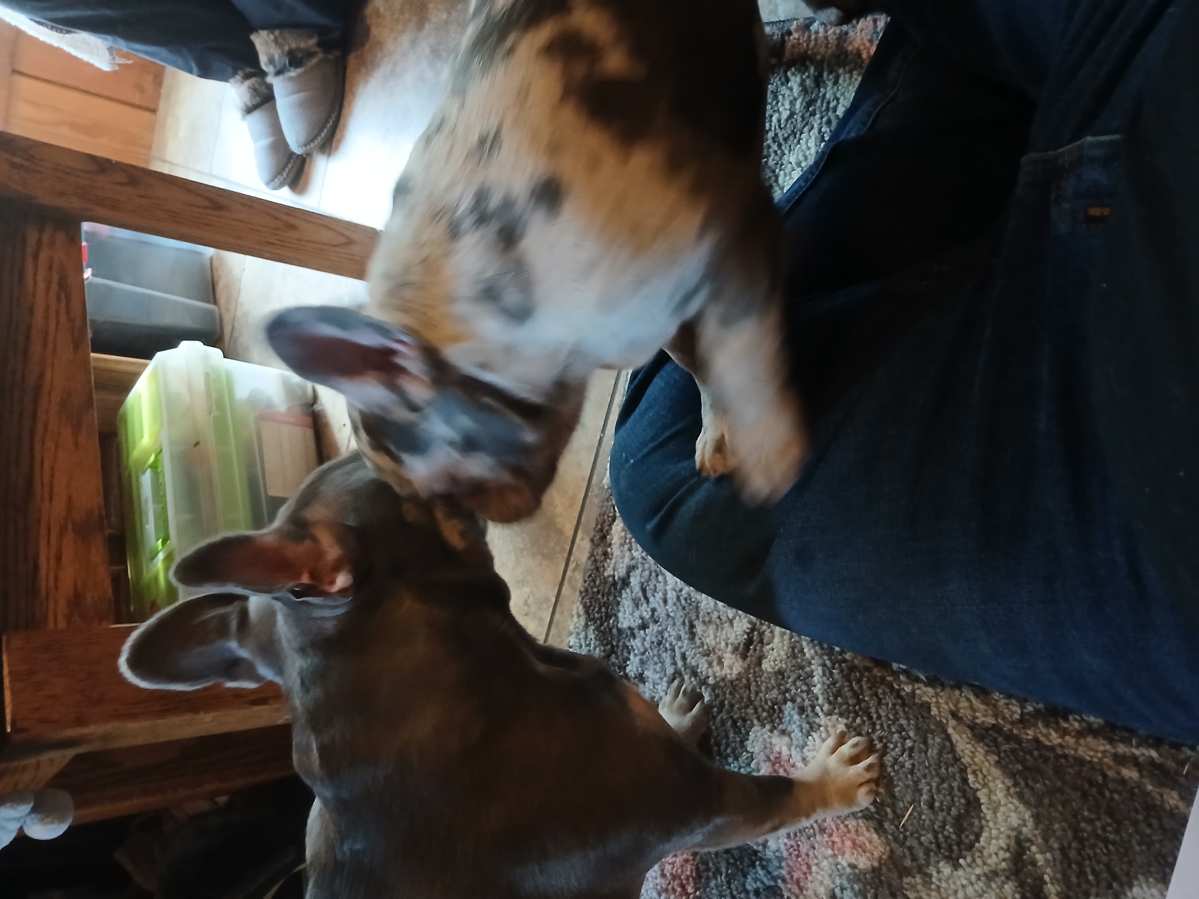 Photo Review Submission from Lowell Kreider