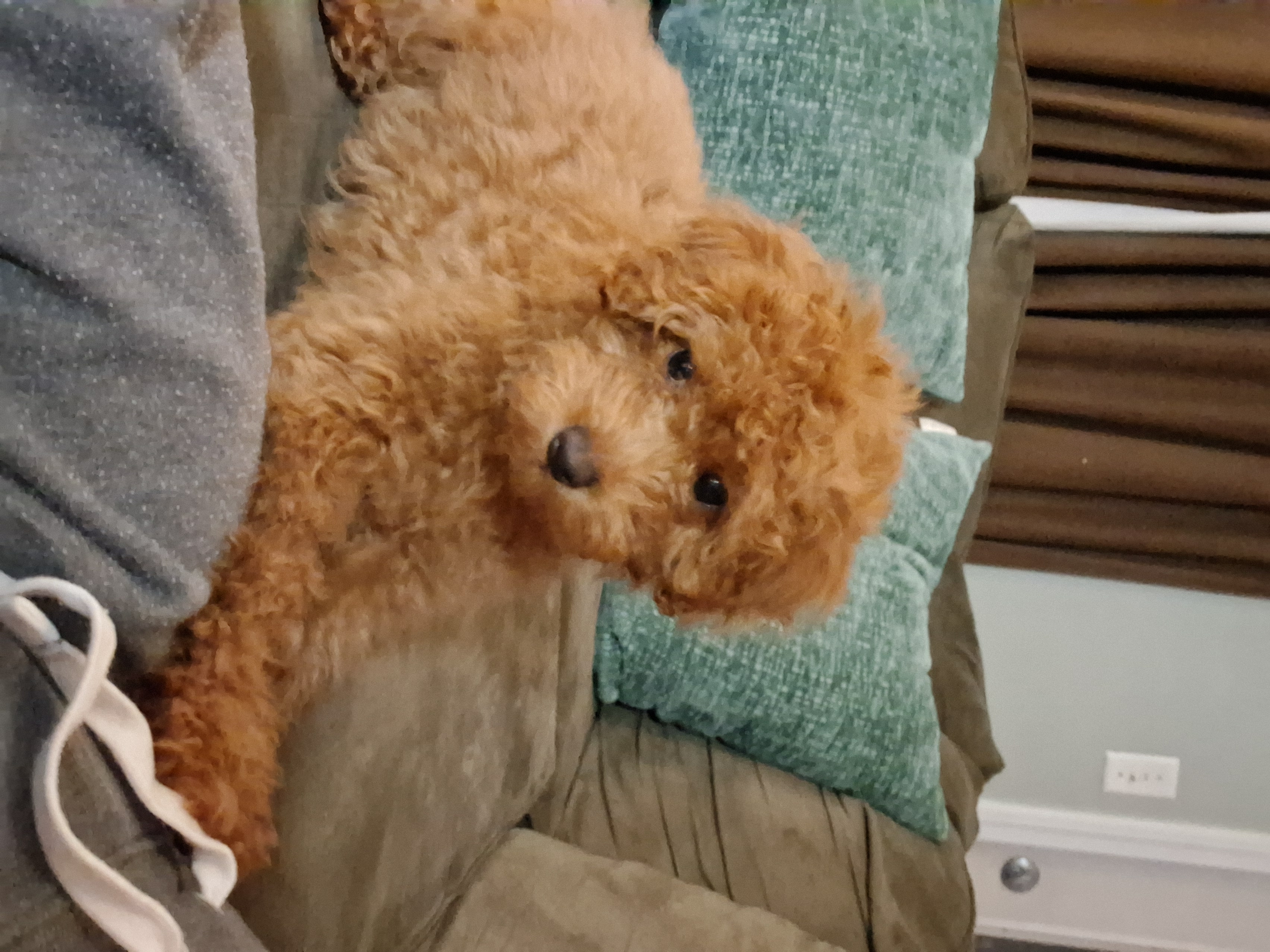 Photo Review Submission from Megan Barker