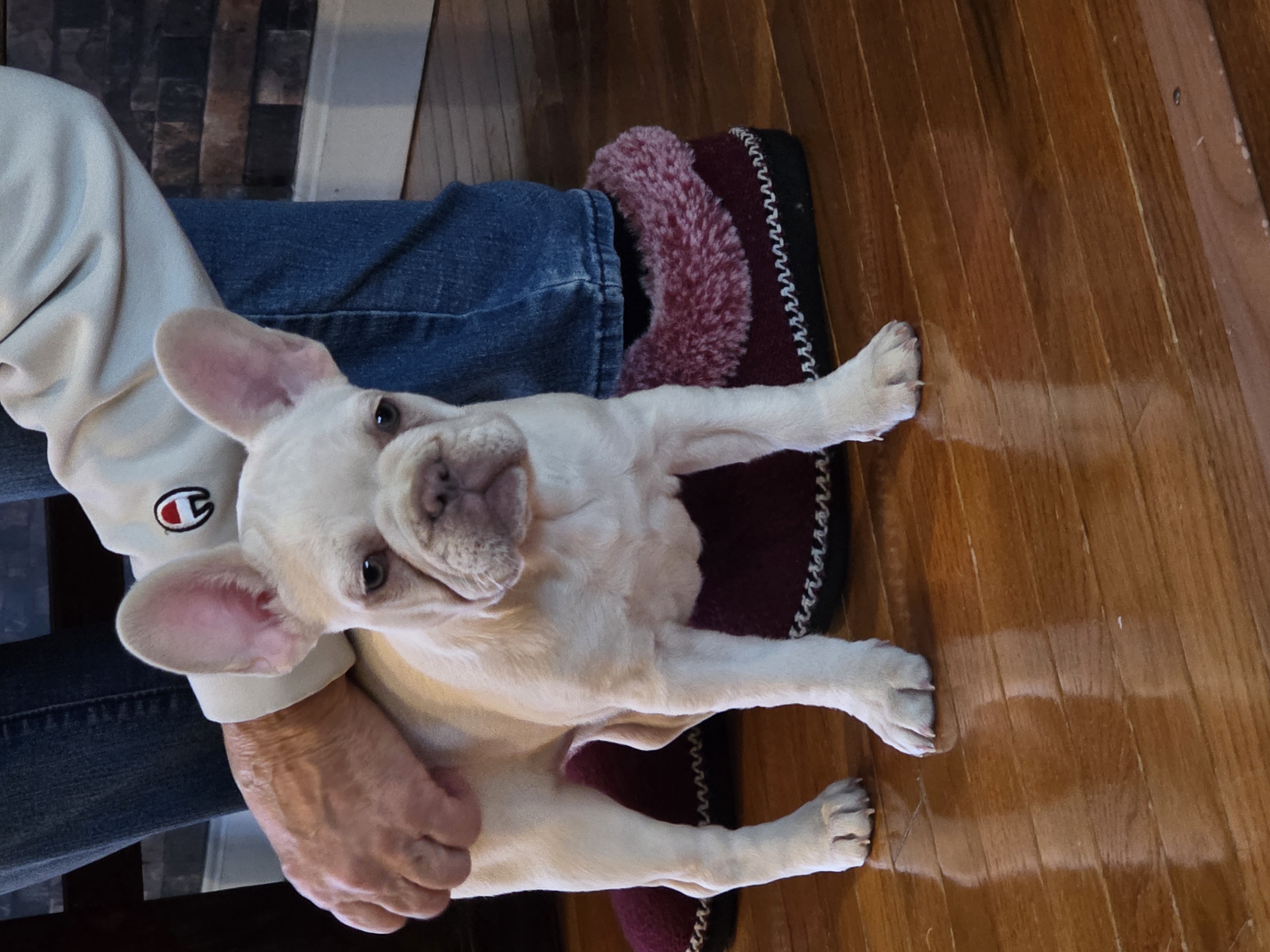 Photo Review Submission from Jessica Miksch