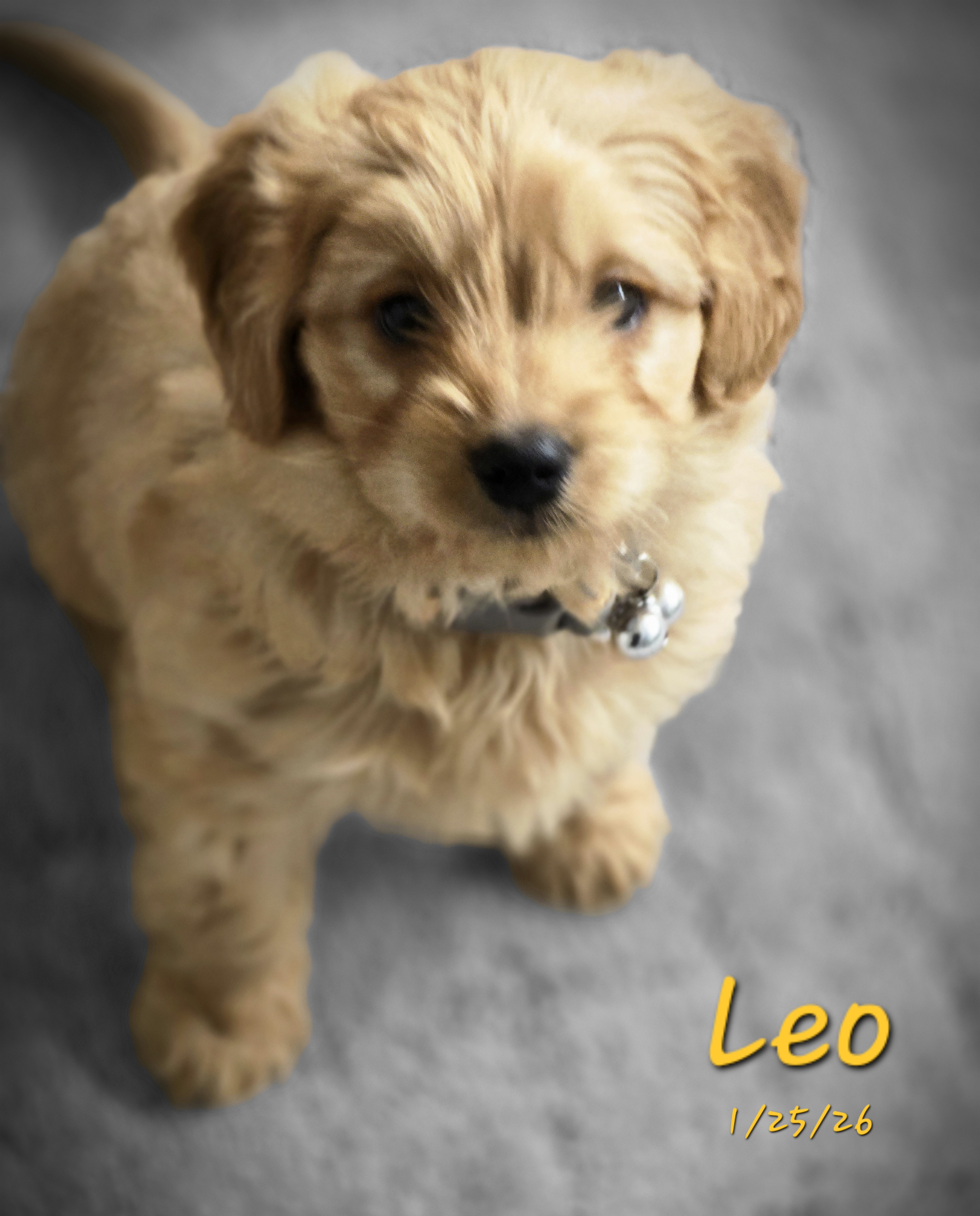 Photo Review Submission from Vince Spena