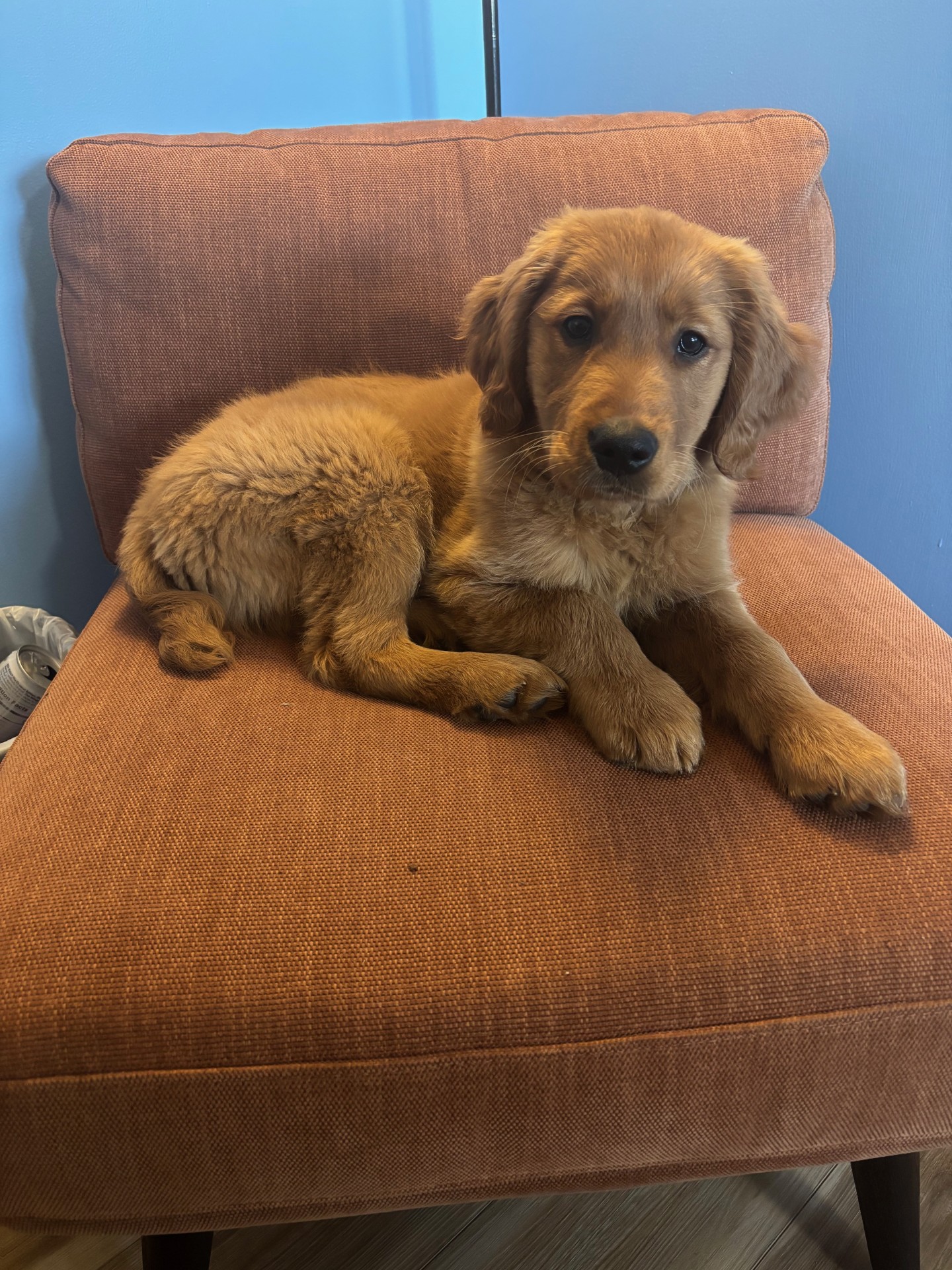 Photo Review Submission from Sydney Vance