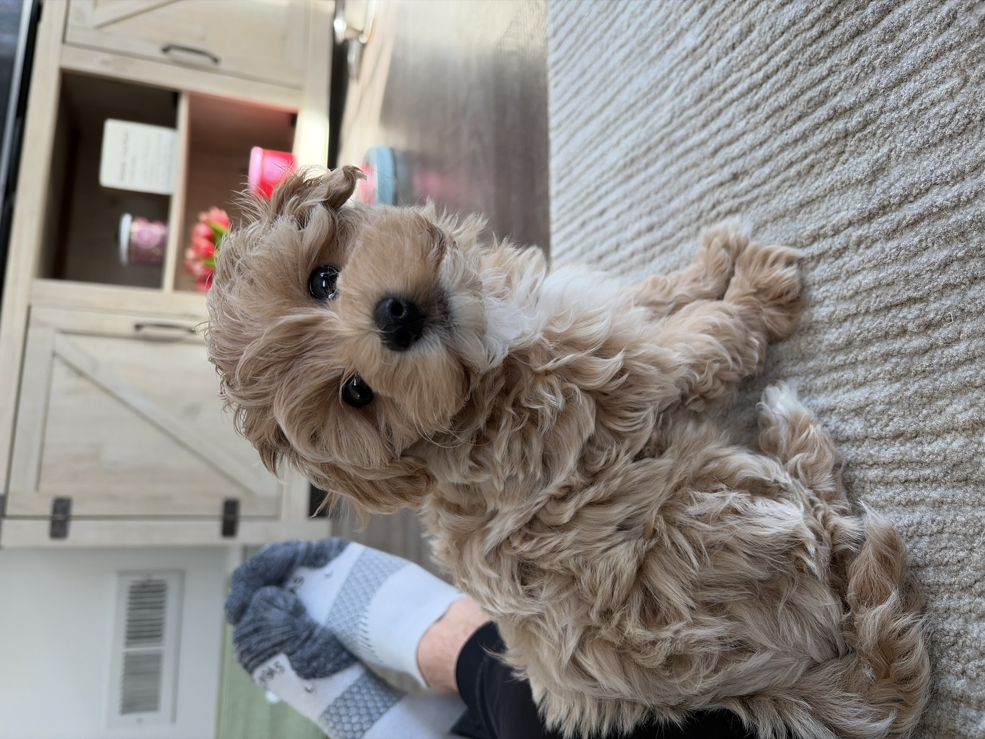 Photo Review Submission from Alison Elf