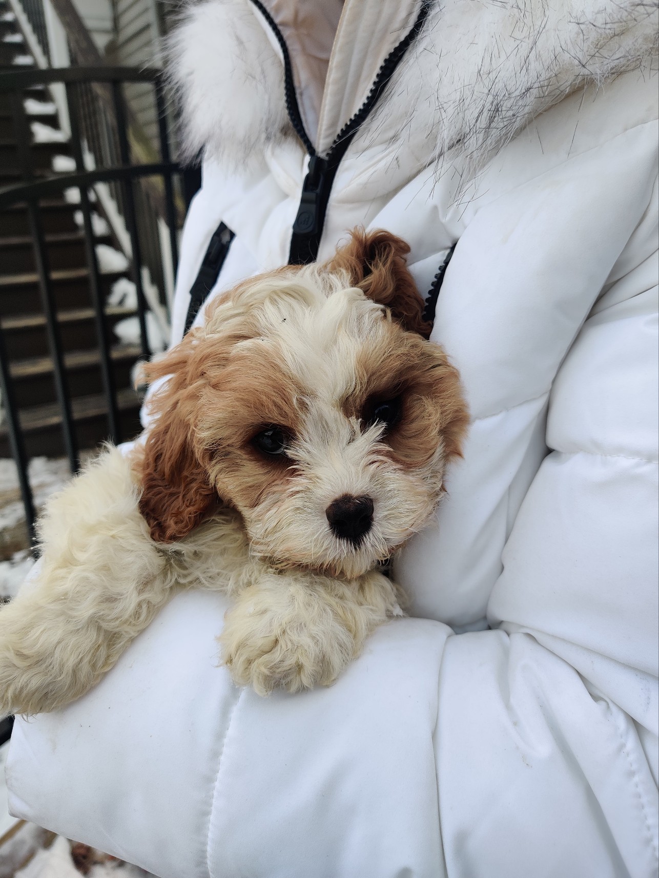 Photo Review Submission from Gina Found