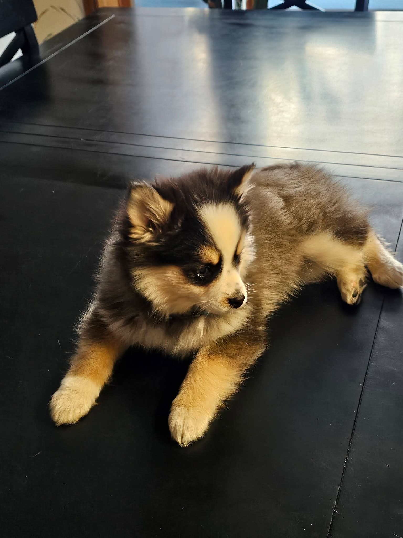 Photo Review Submission from Brighton Smith