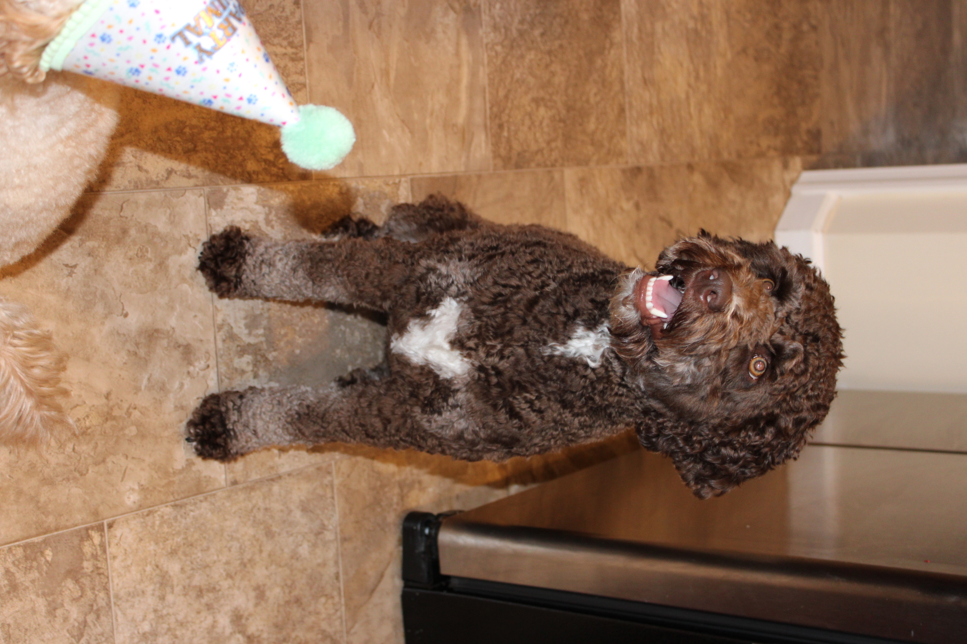 Photo Review Submission from Ashlyn Cave