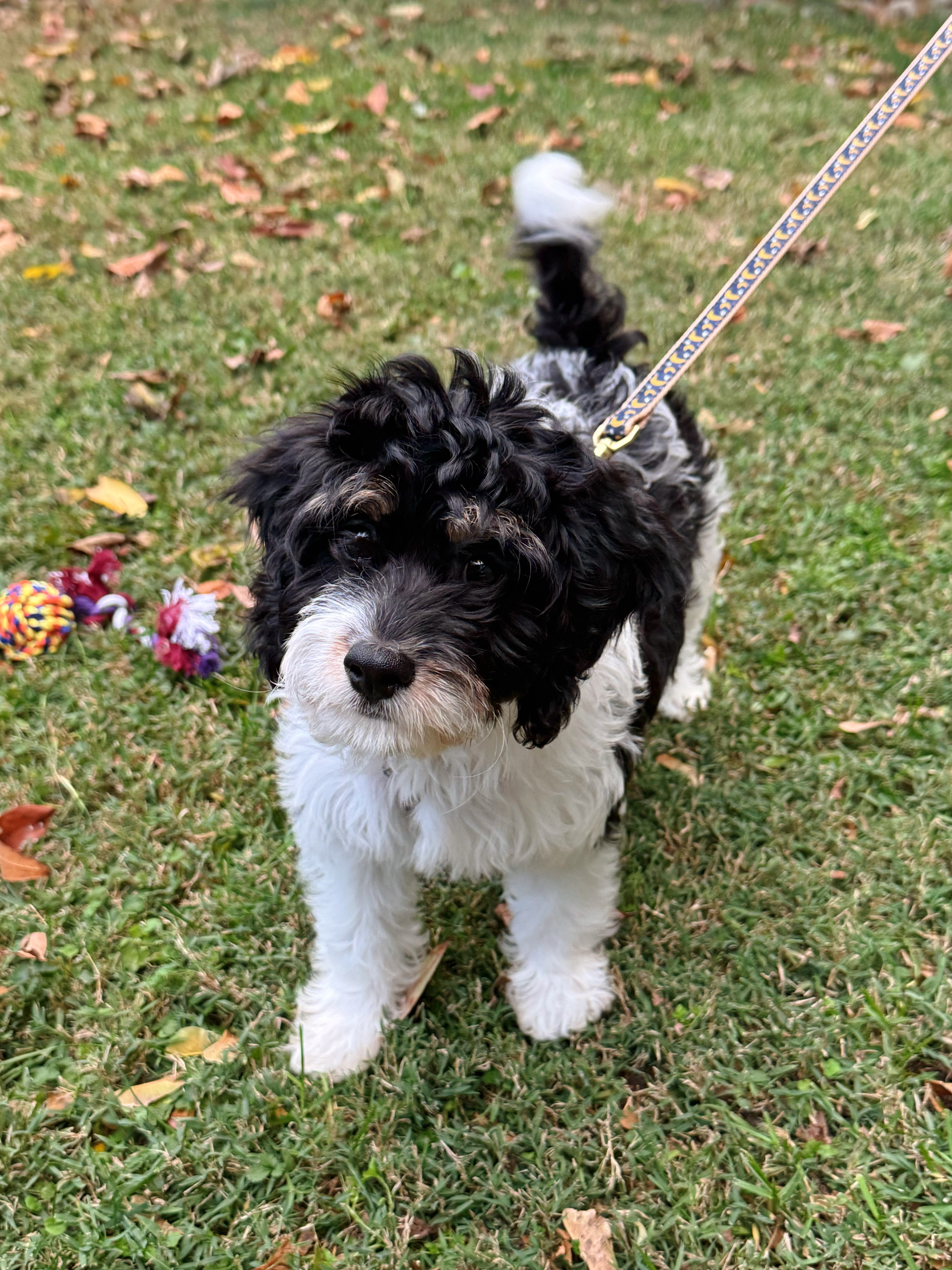 Photo Review Submission from Lisa Rosa