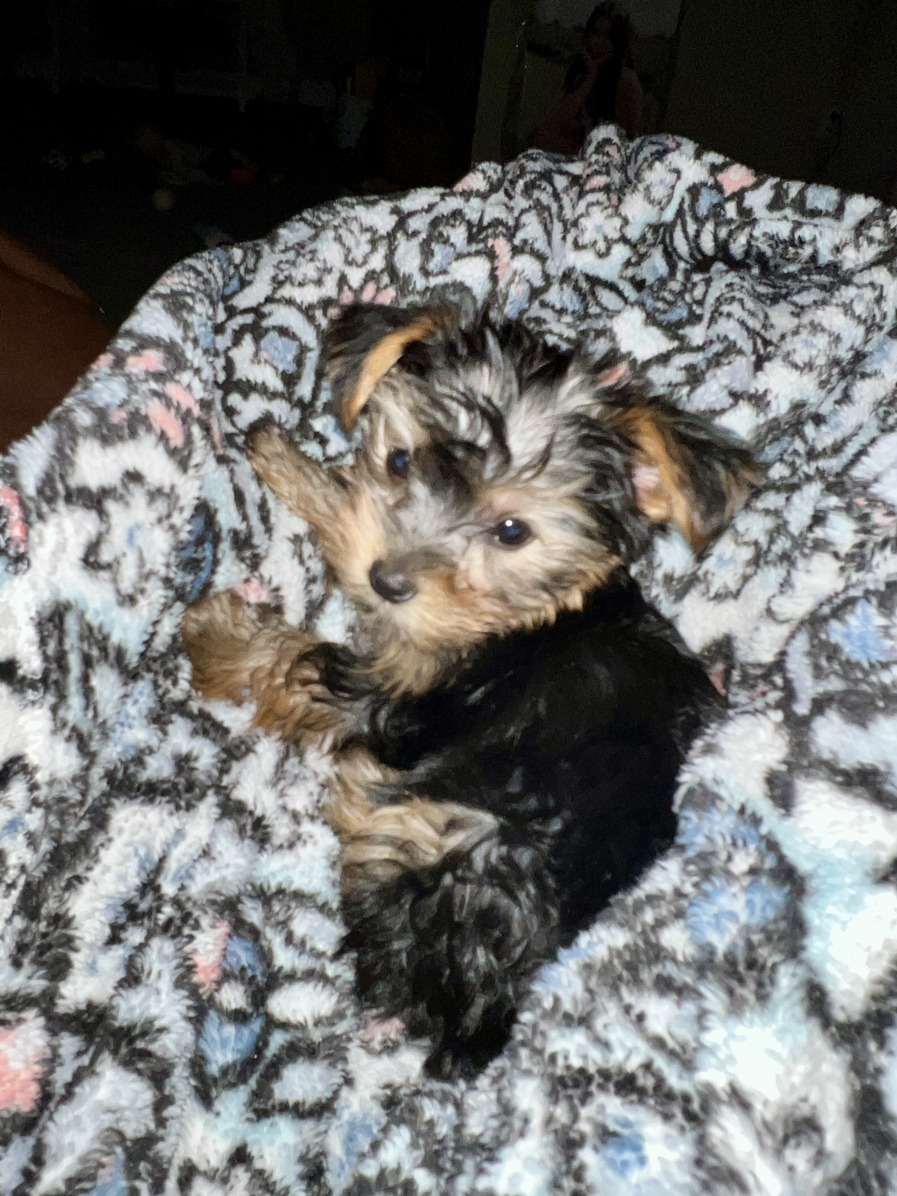 Photo Review Submission from Donna Bittmann