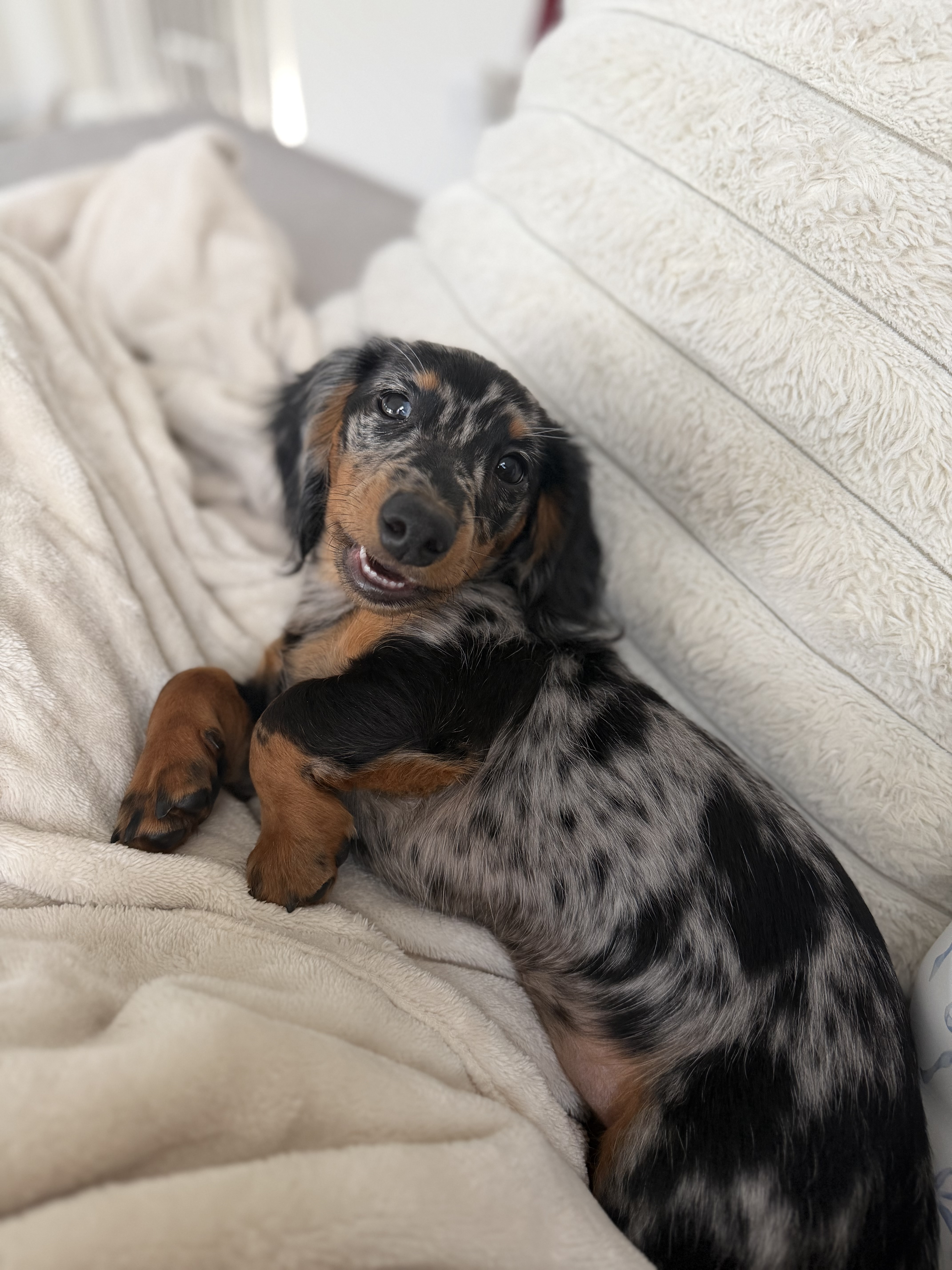 Photo Review Submission from Nicolette Reiman