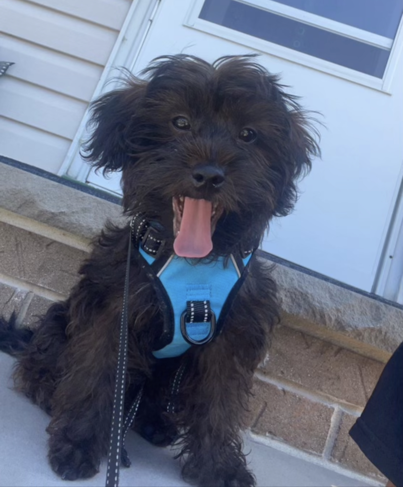 Photo Review Submission from Lynda Soares