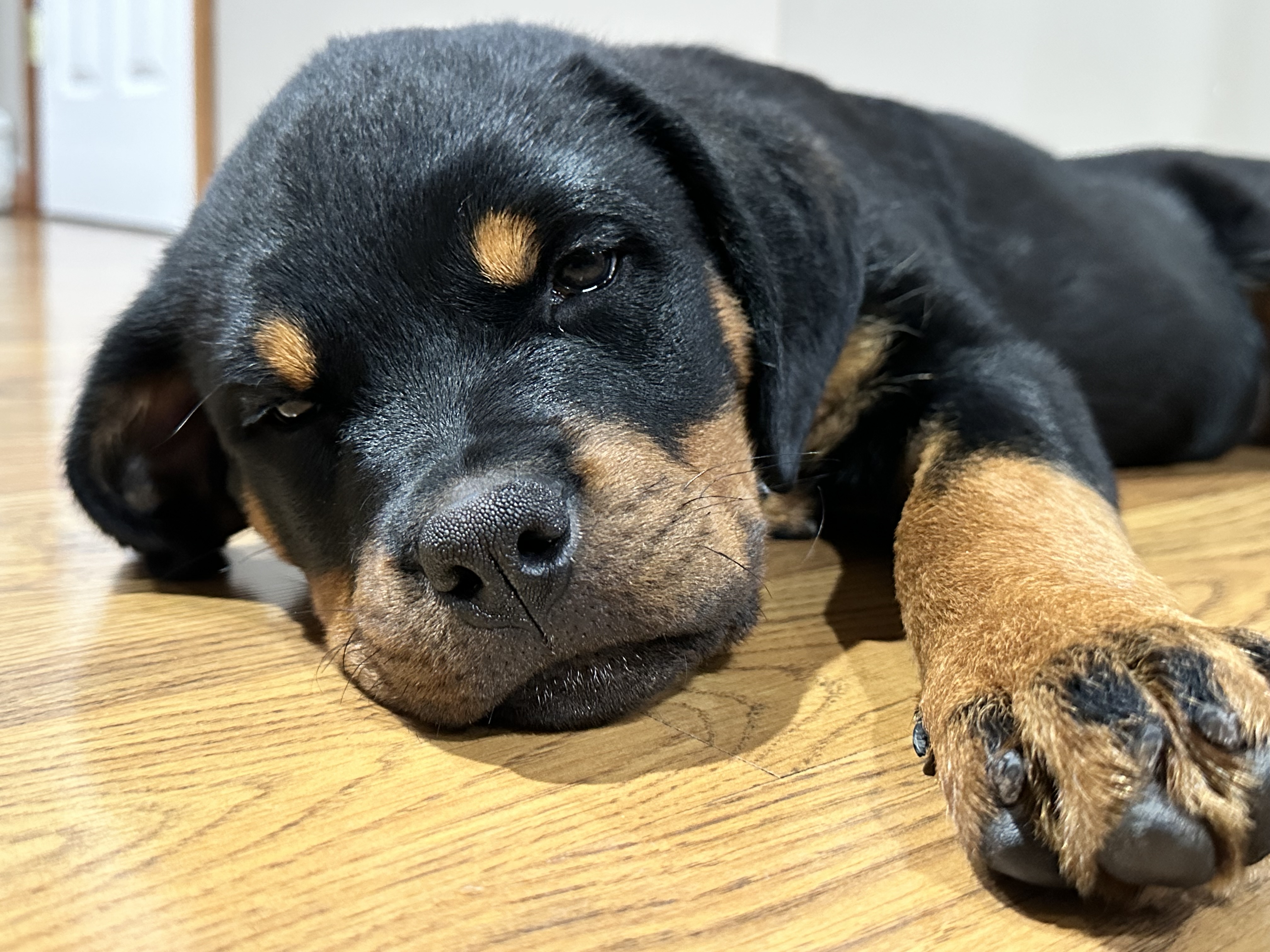 Photo Review Submission from Michael Dzierzawski