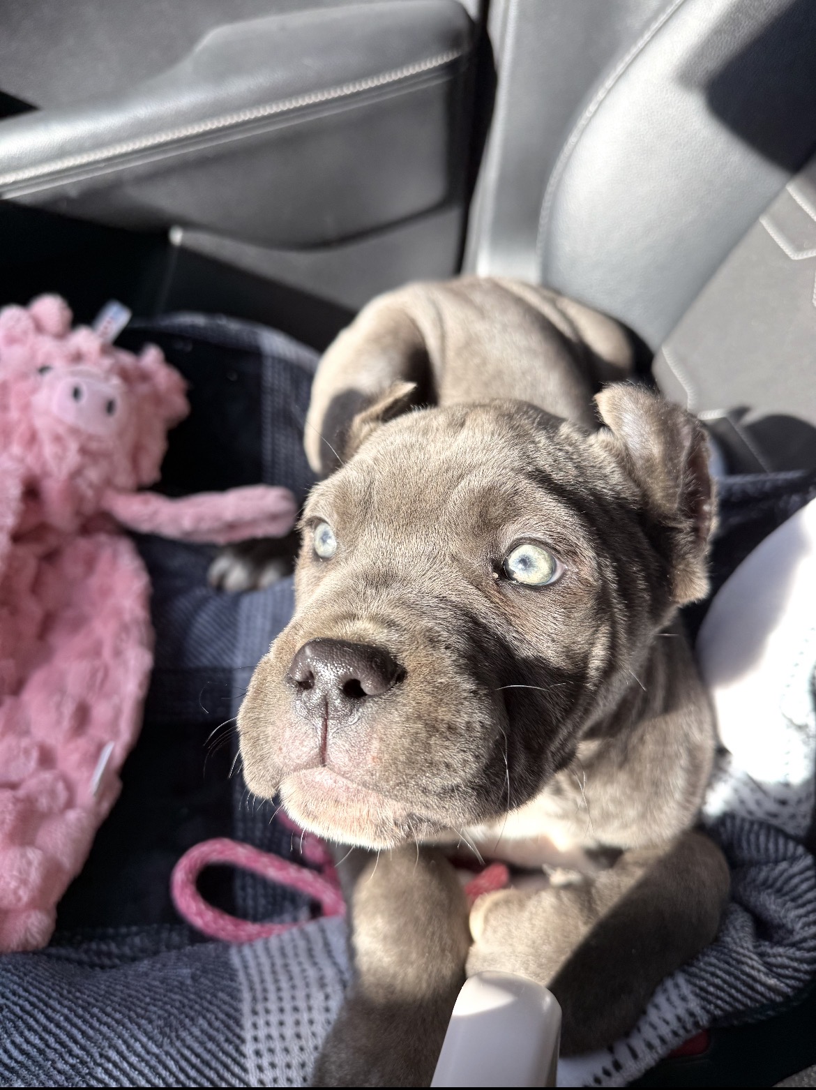 Photo Review Submission from Marcus Campbell