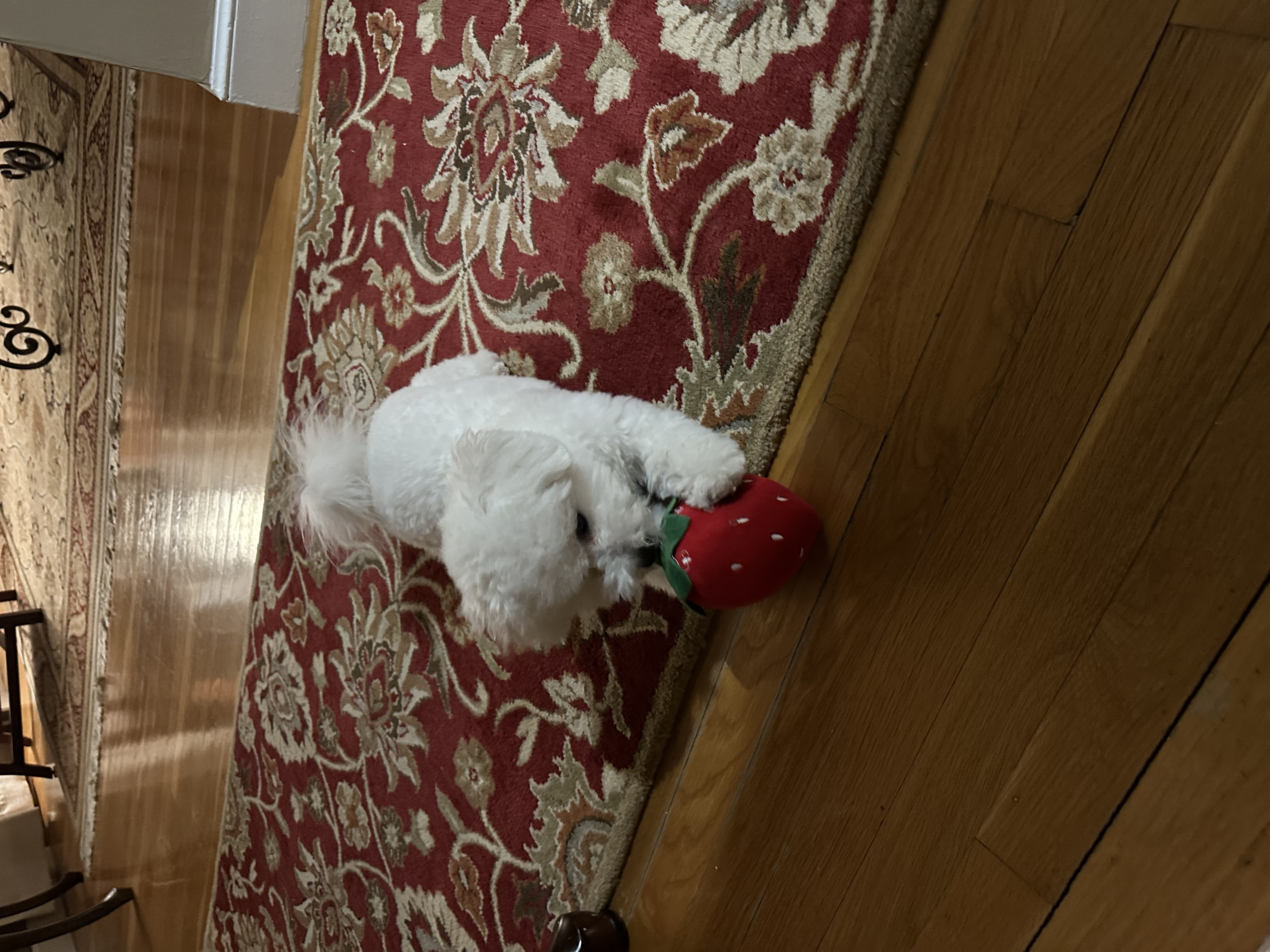 Photo Review Submission from Nancy Sarris