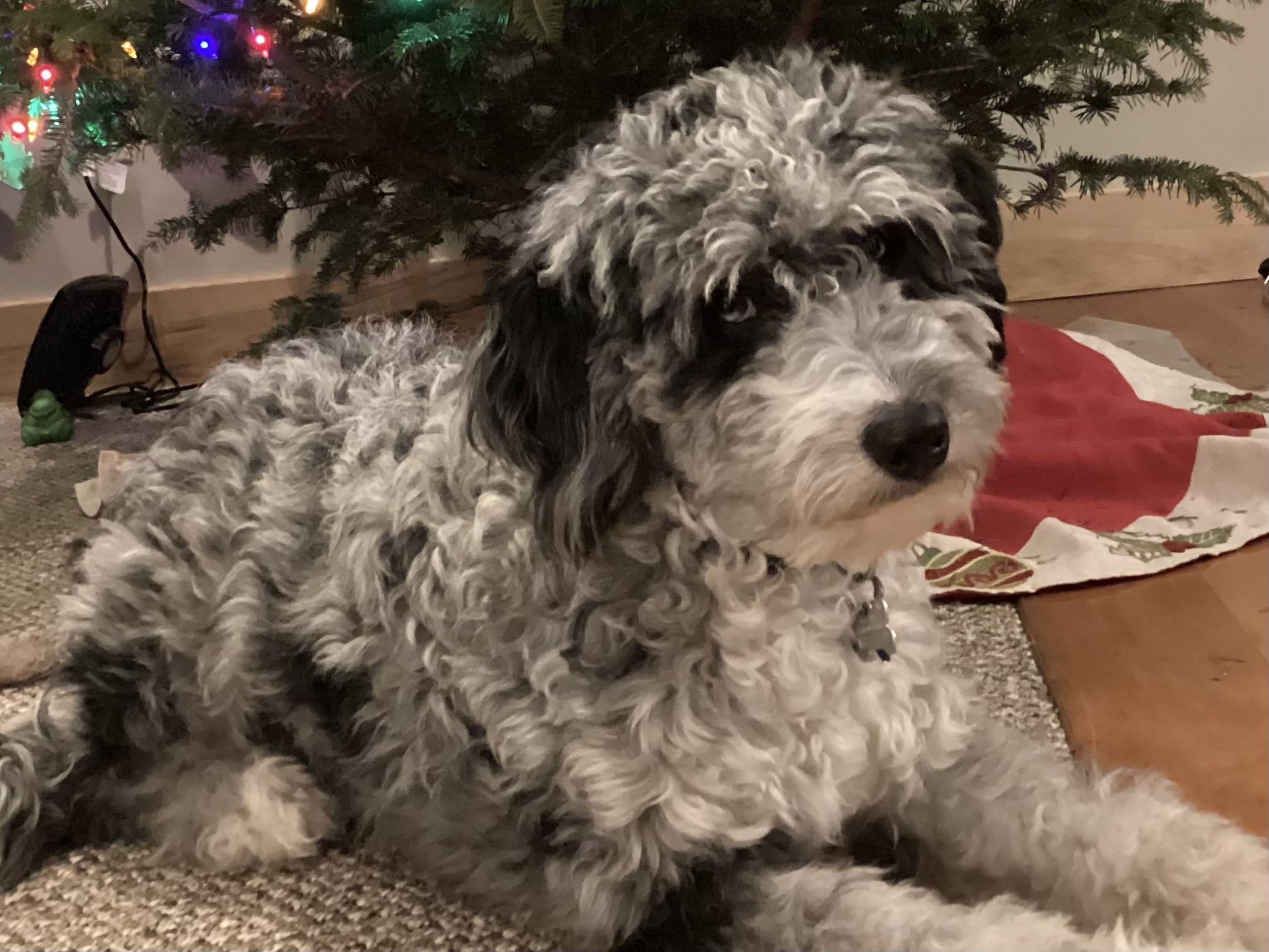 Photo Review Submission from Marjorie Rush