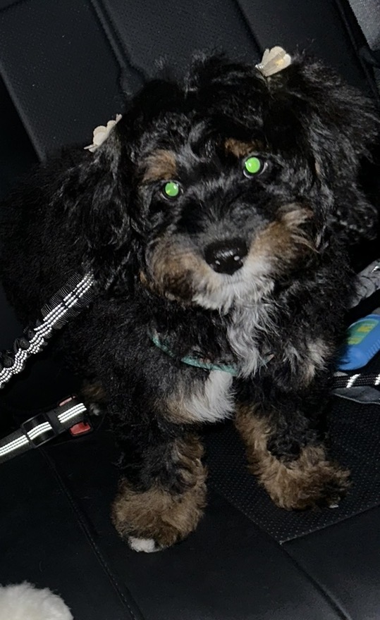 Photo Review Submission from Vanessa Asencio