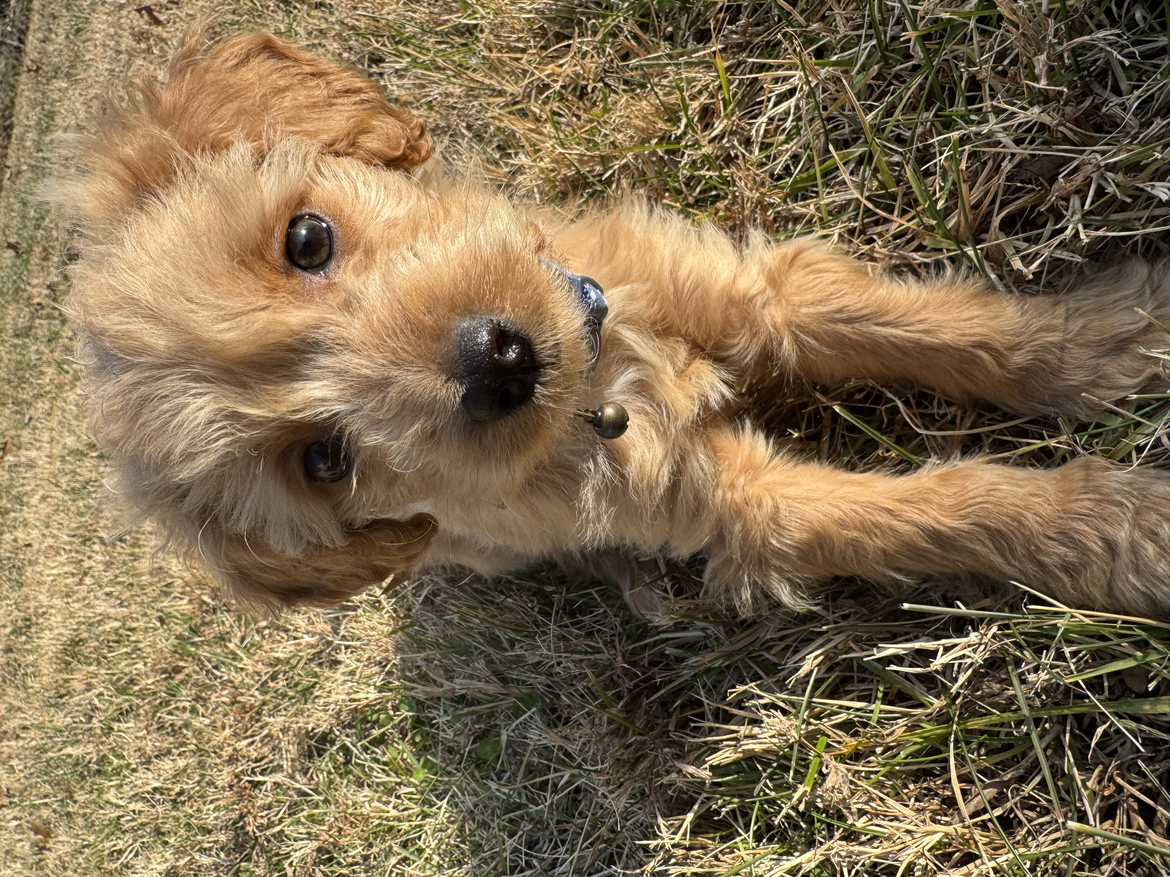 Photo Review Submission from Emily Rayo