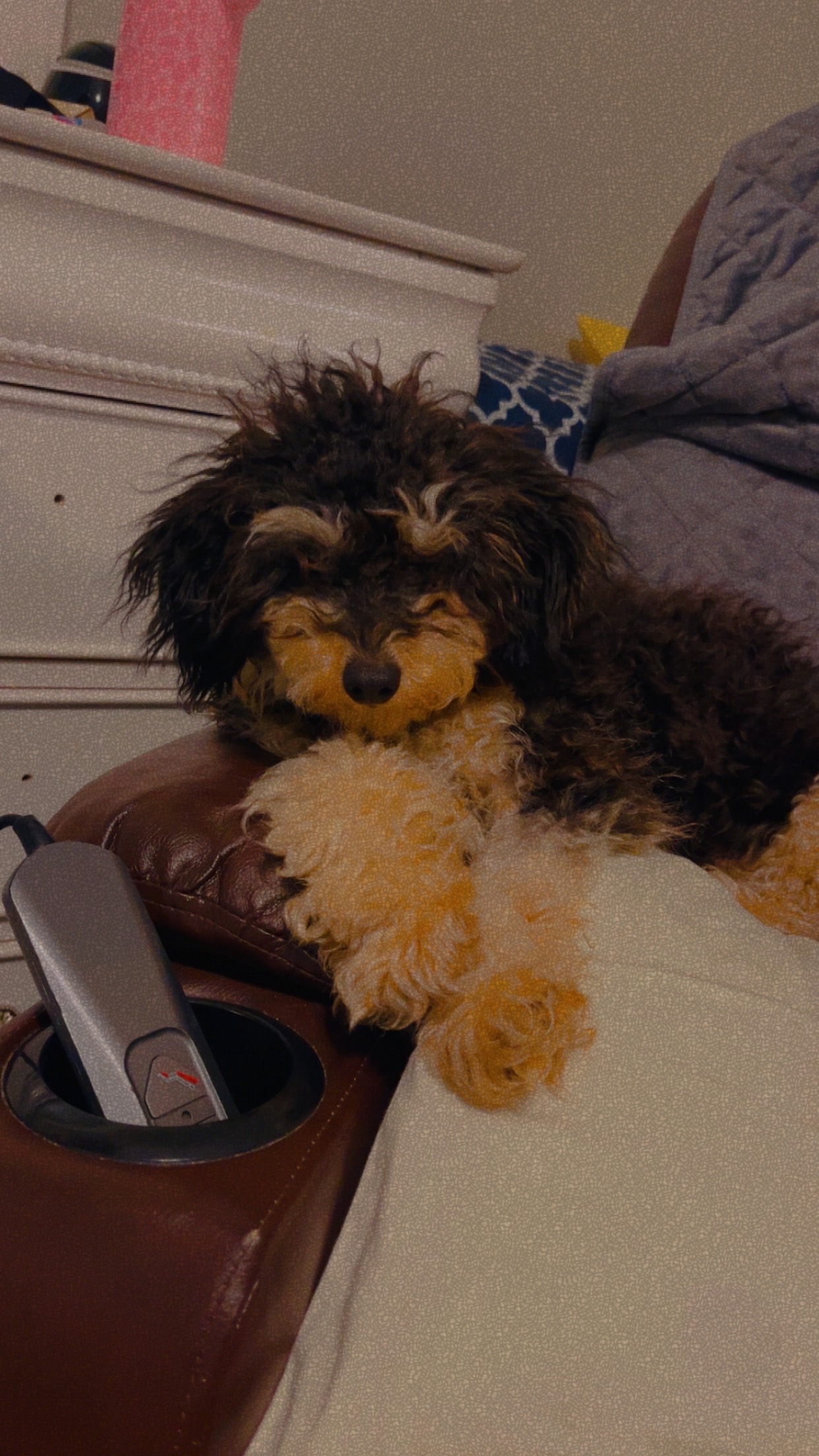 Photo Review Submission from Aarien Stallworth