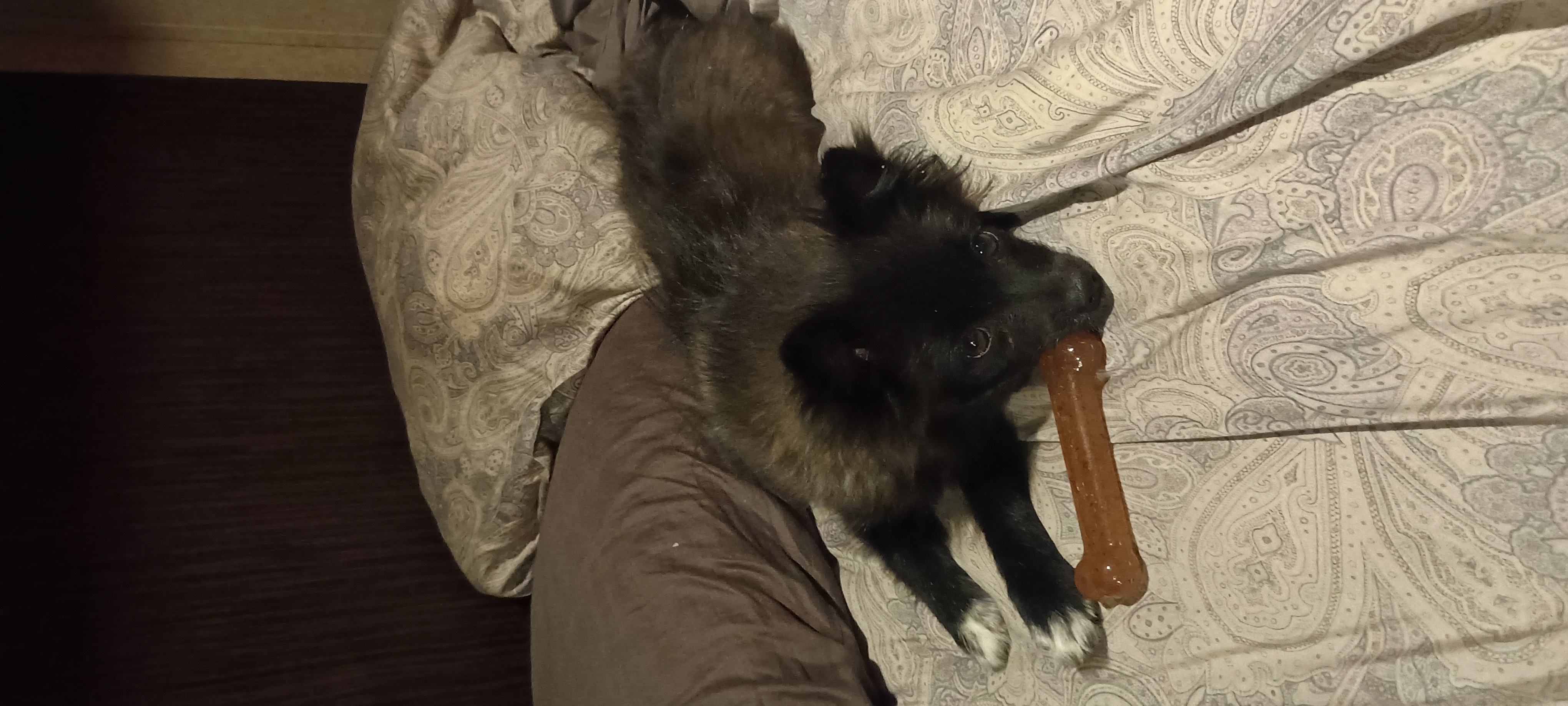 Photo Review Submission from Thomas Bliven