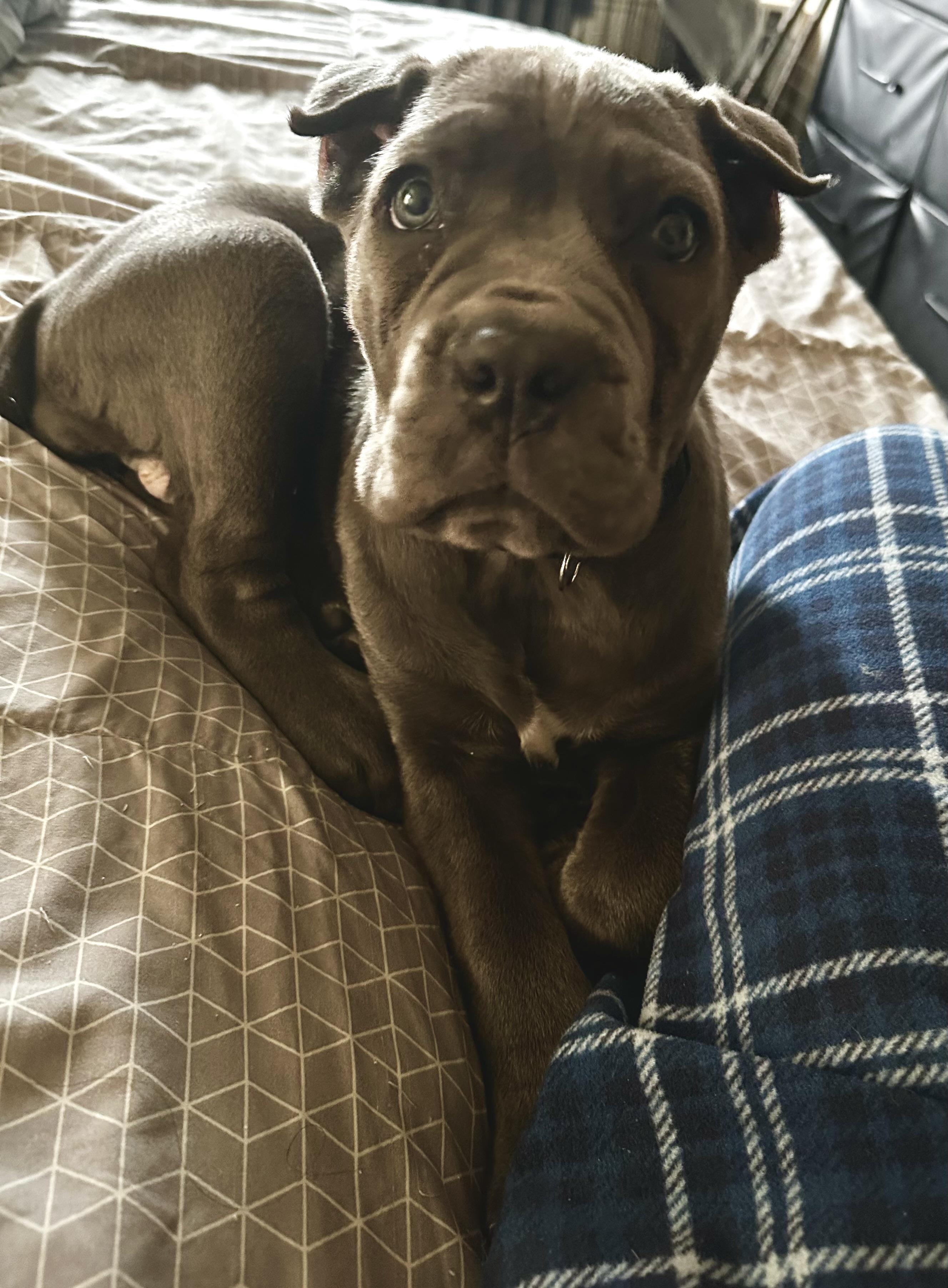 Photo Review Submission from Kathryn Jorgensen