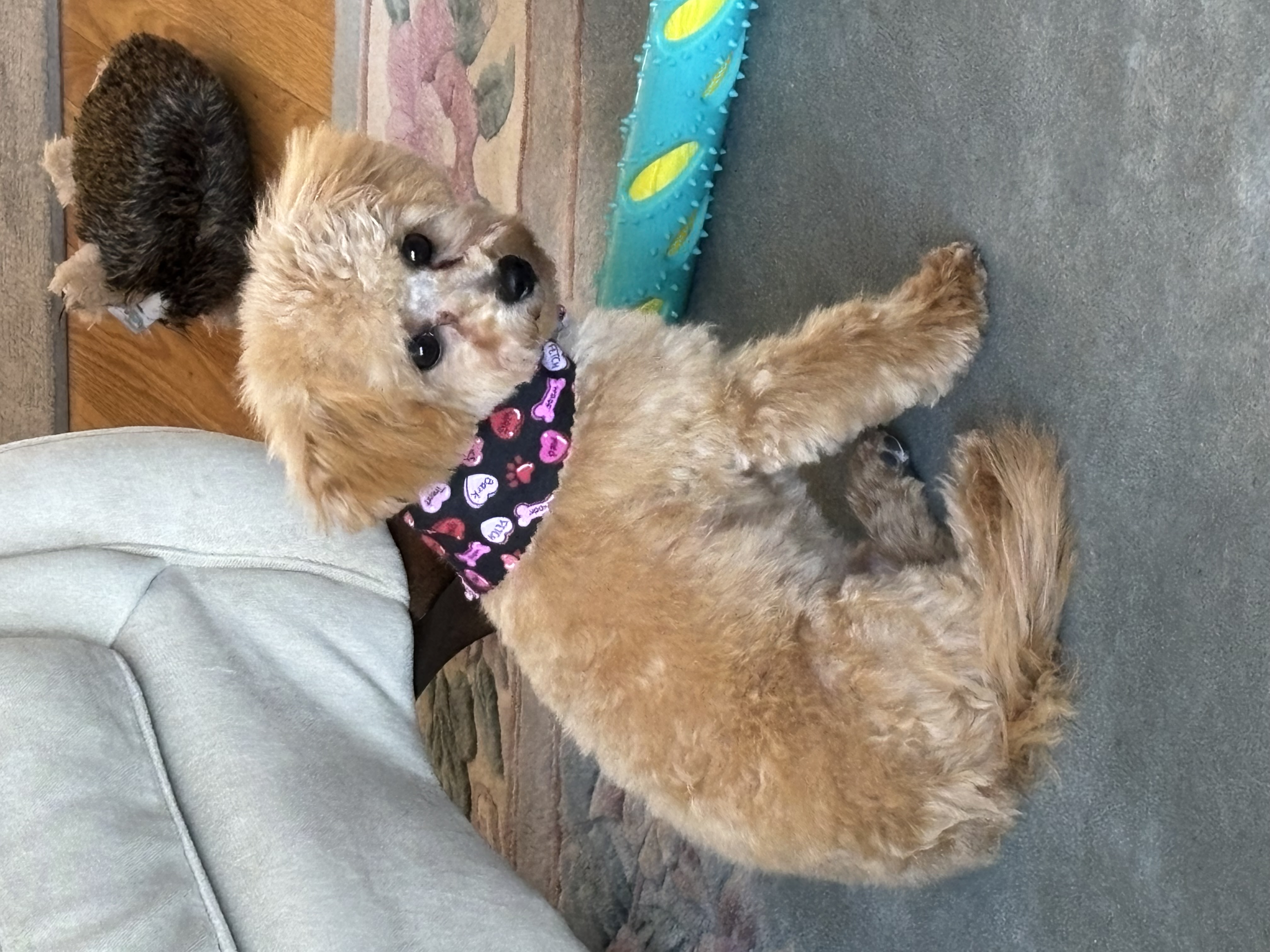 Photo Review Submission from Wilma Lodato