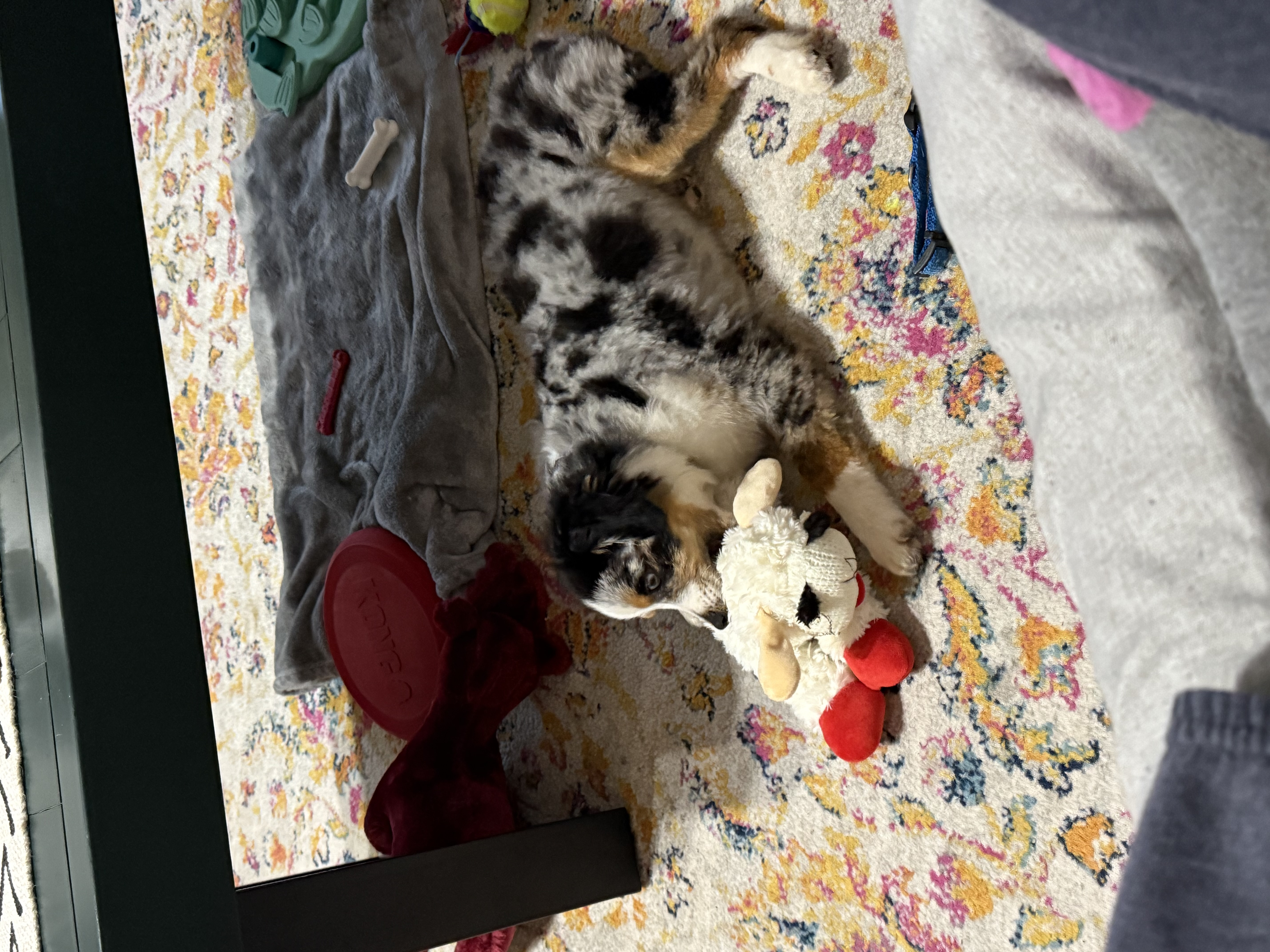 Photo Review Submission from Emma H