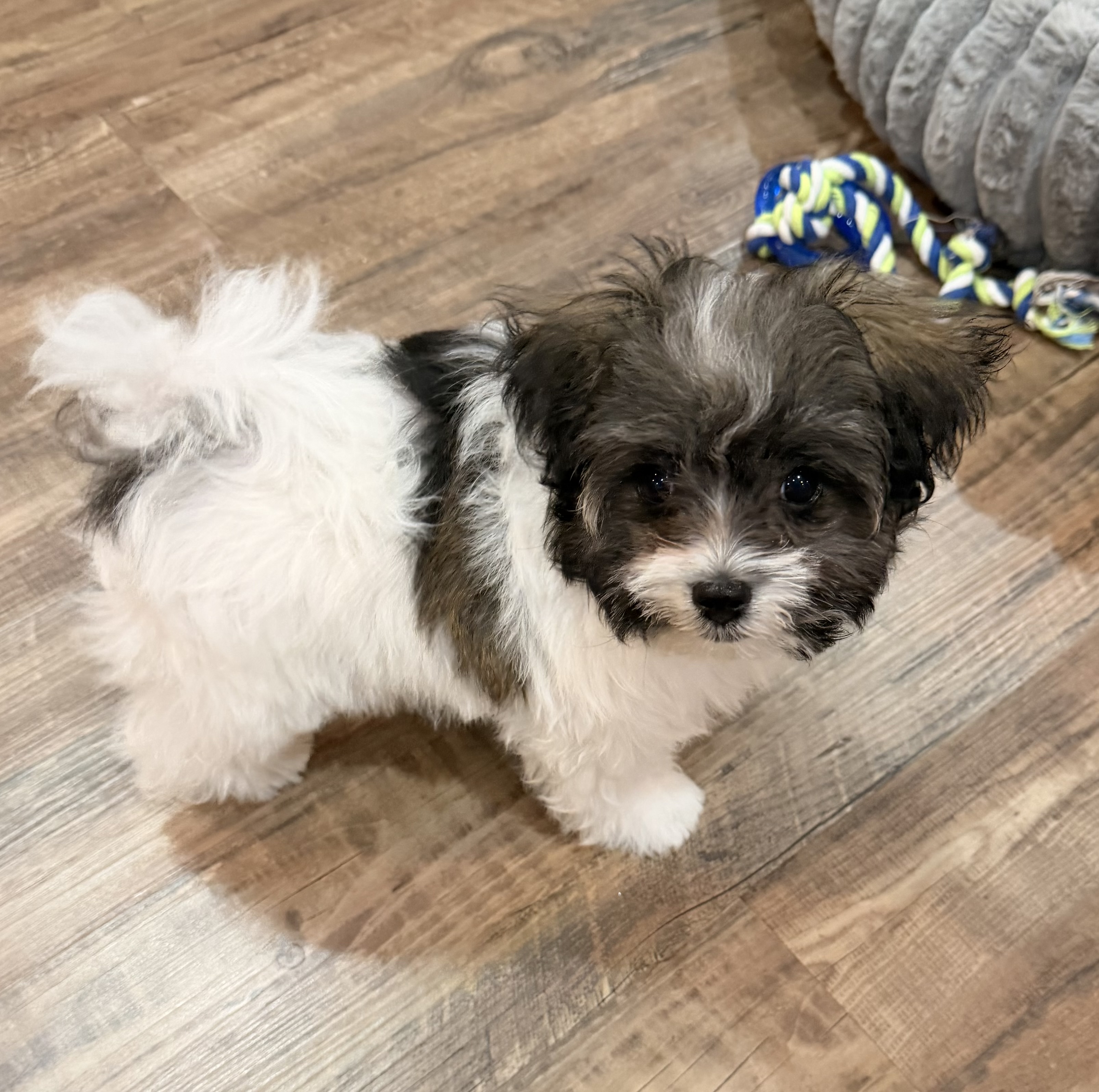 Photo Review Submission from Anna Kaplunovskaya