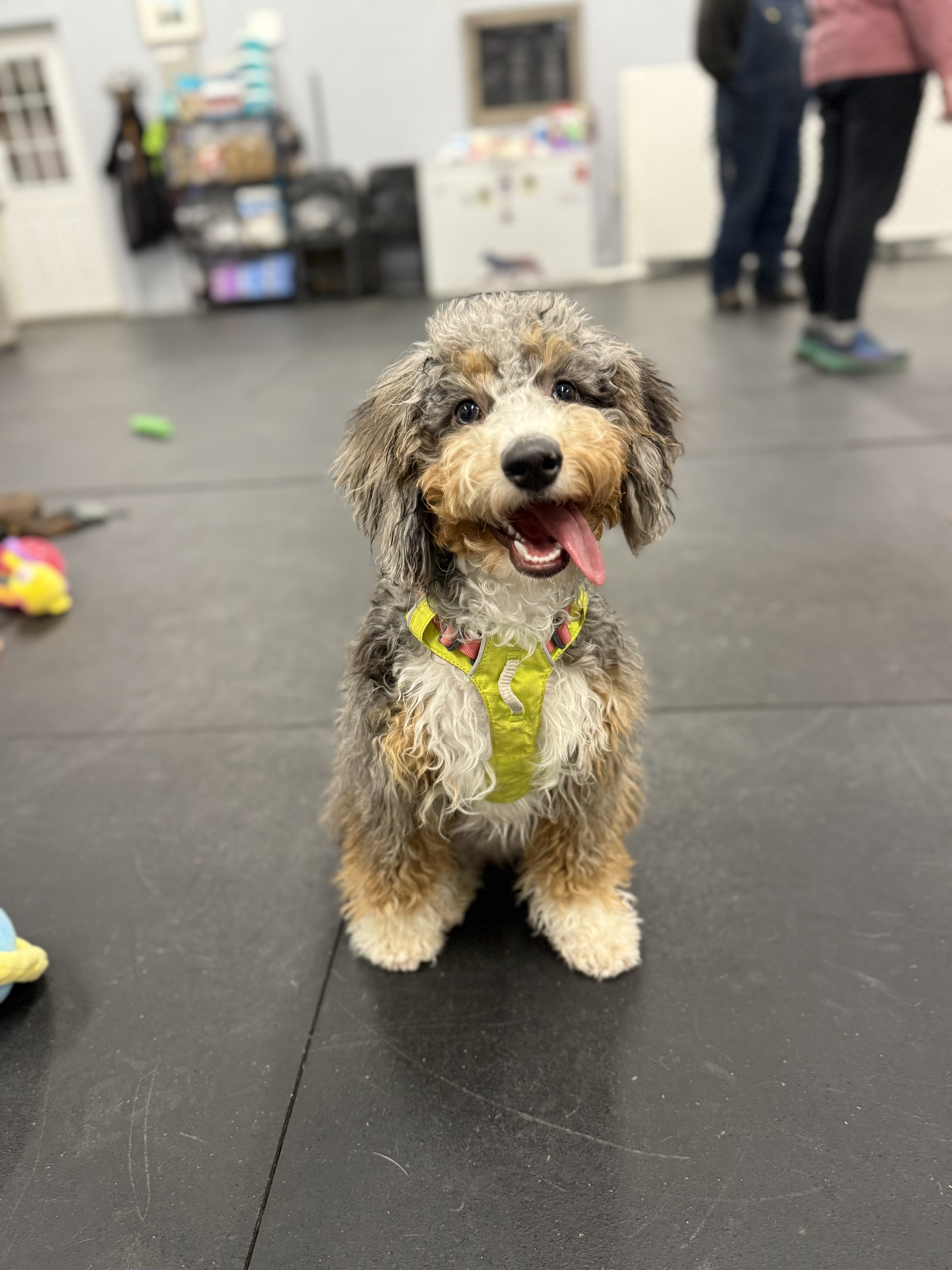 Photo Review Submission from Theresa Jones