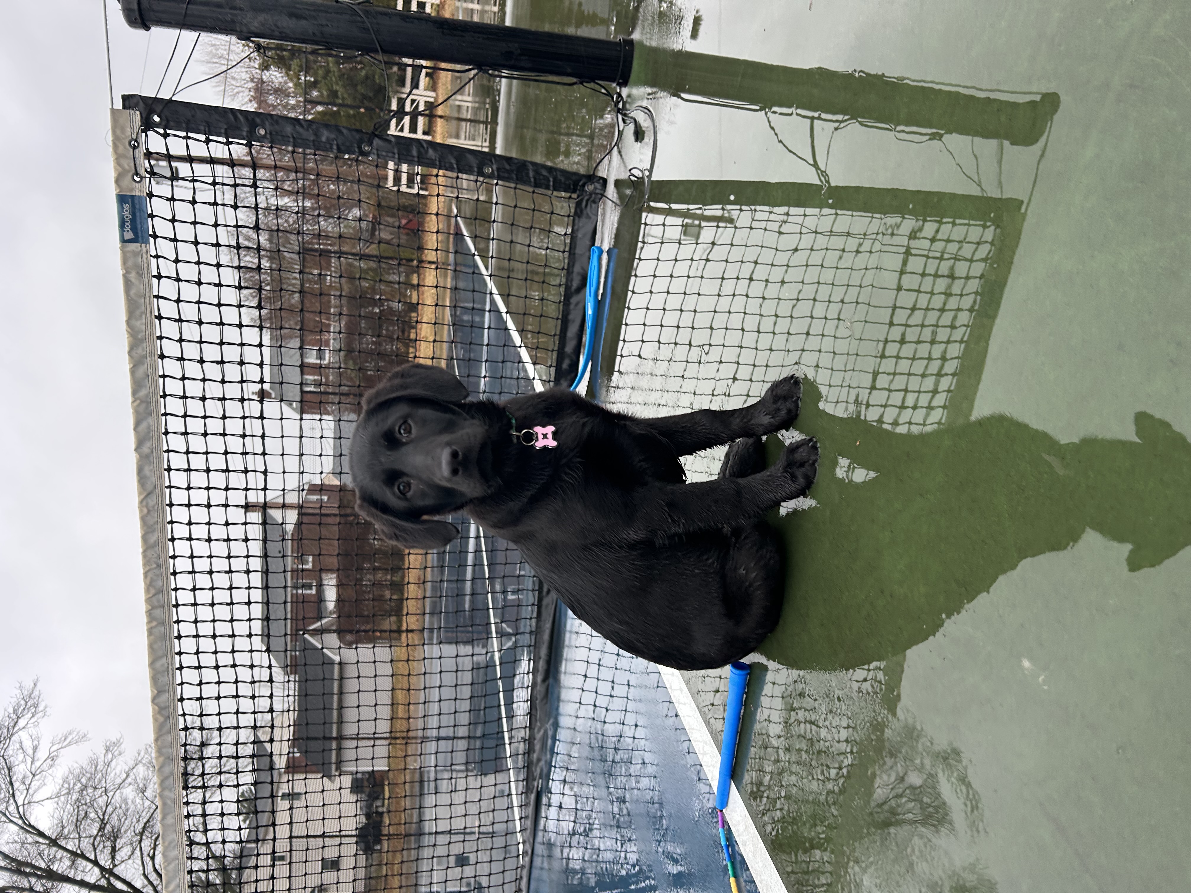 Photo Review Submission from Laura D