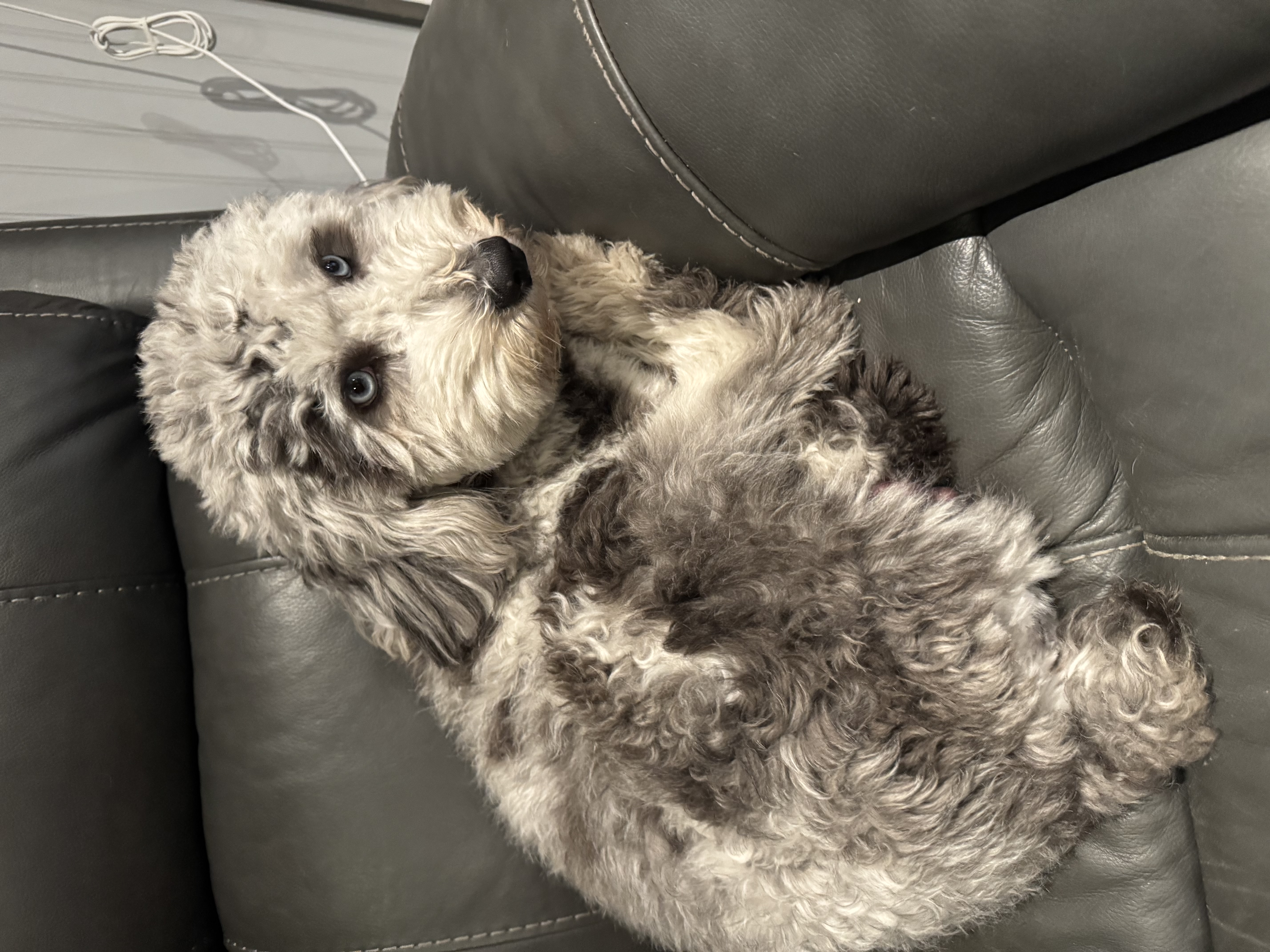 Photo Review Submission from Suzy Gedris