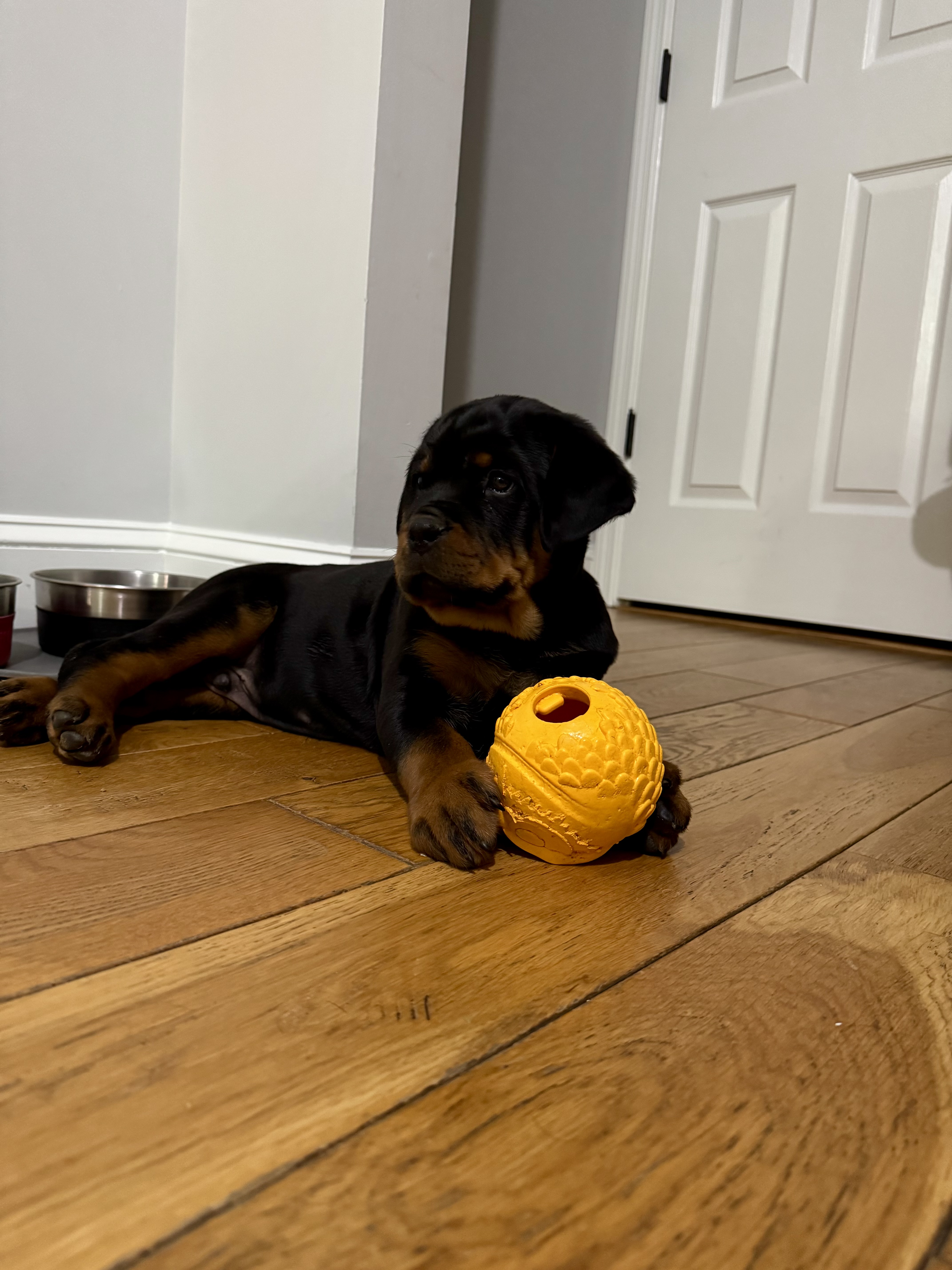 Photo Review Submission from Ryan Brennan