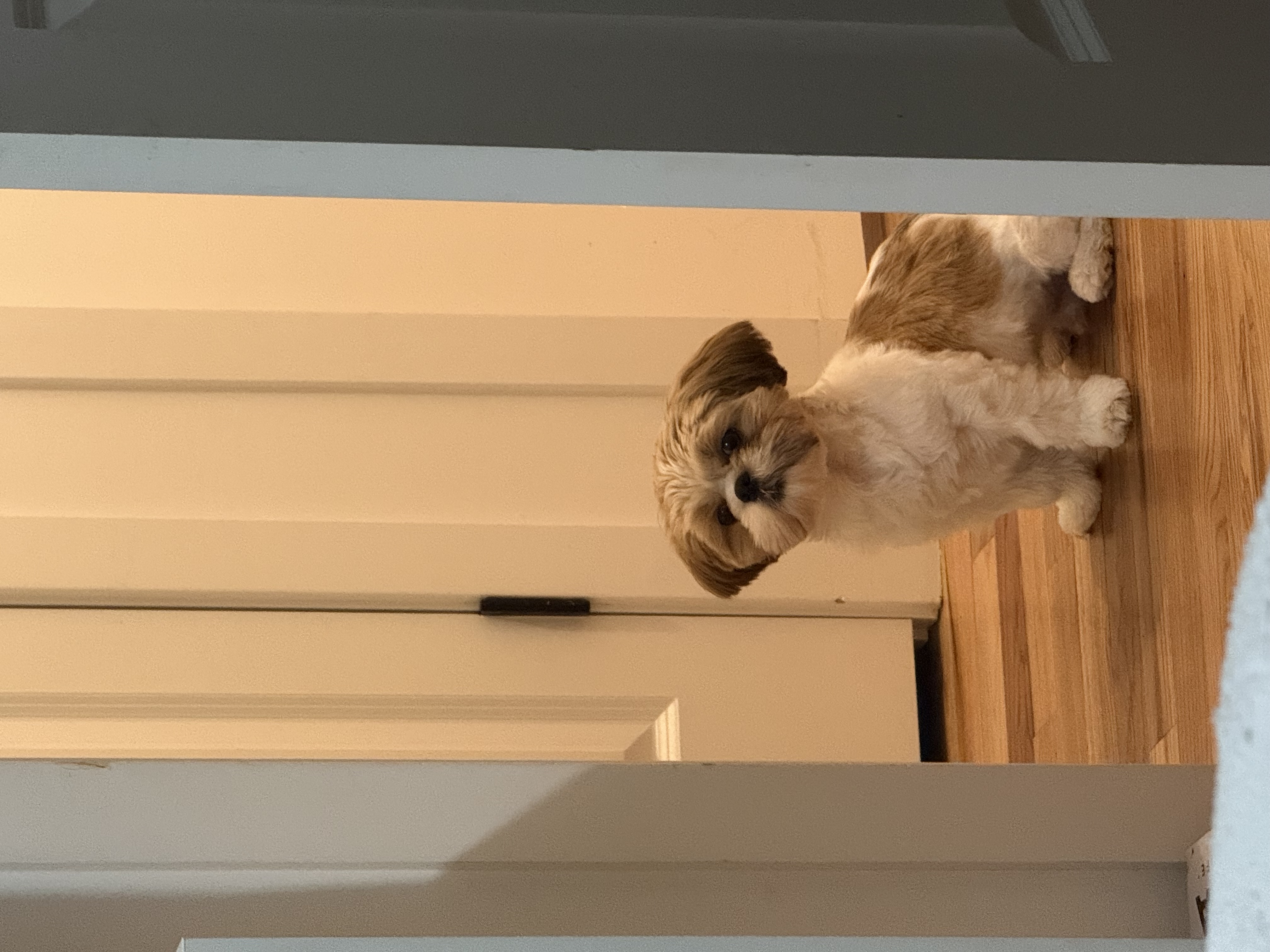 Photo Review Submission from Amy Gopee