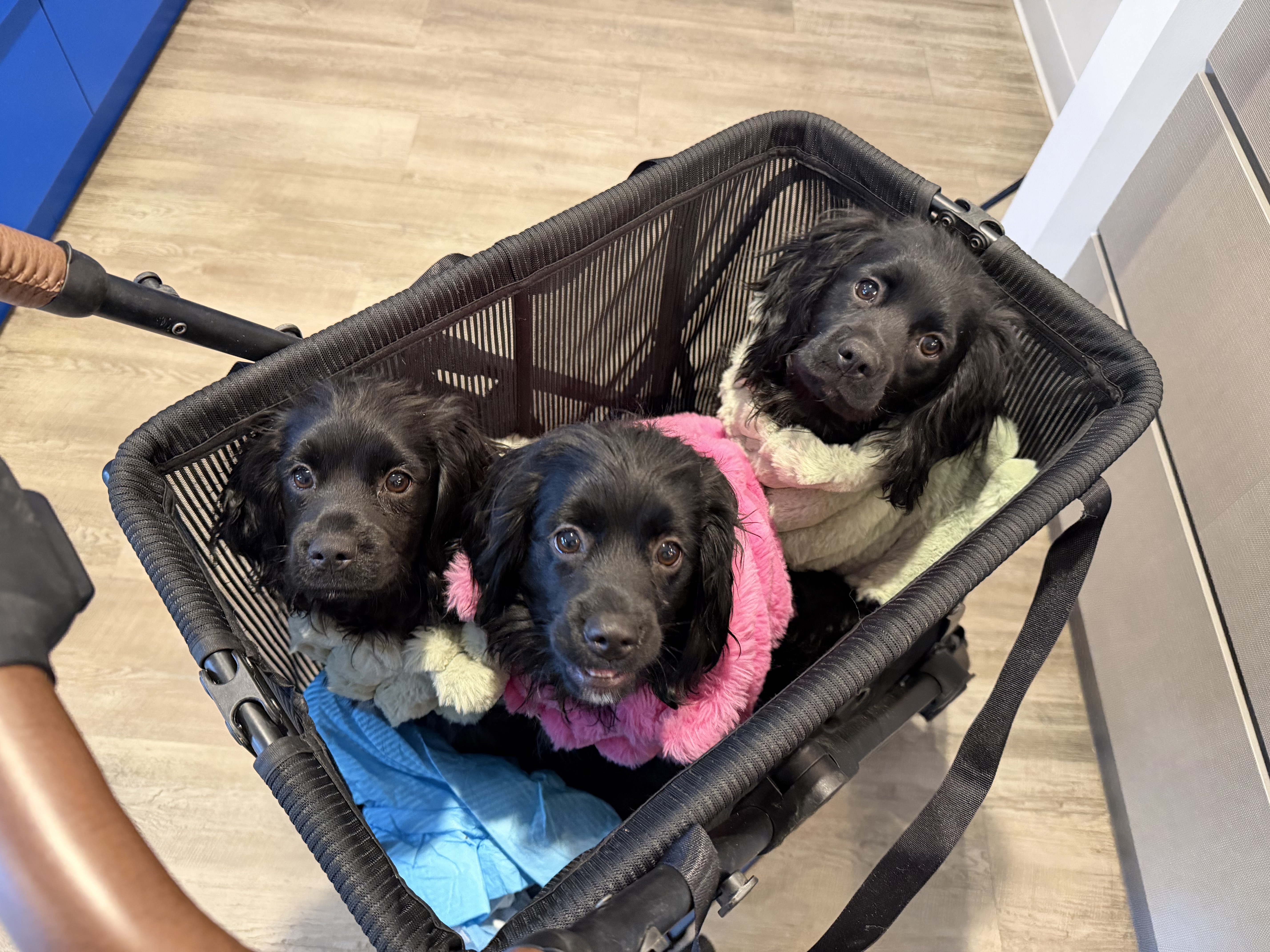 Photo Review Submission from Dee K