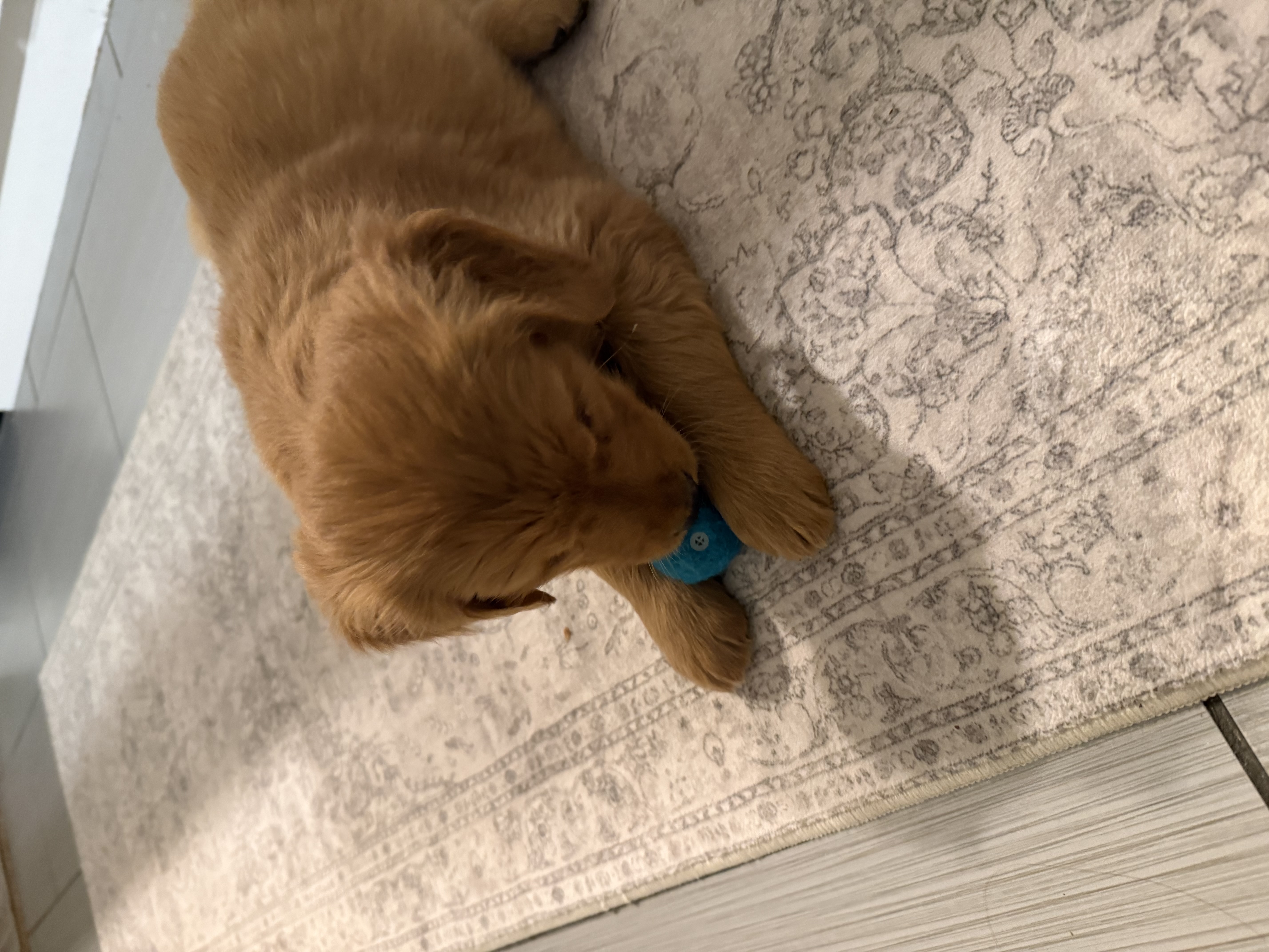 Photo Review Submission from Jacob Spears