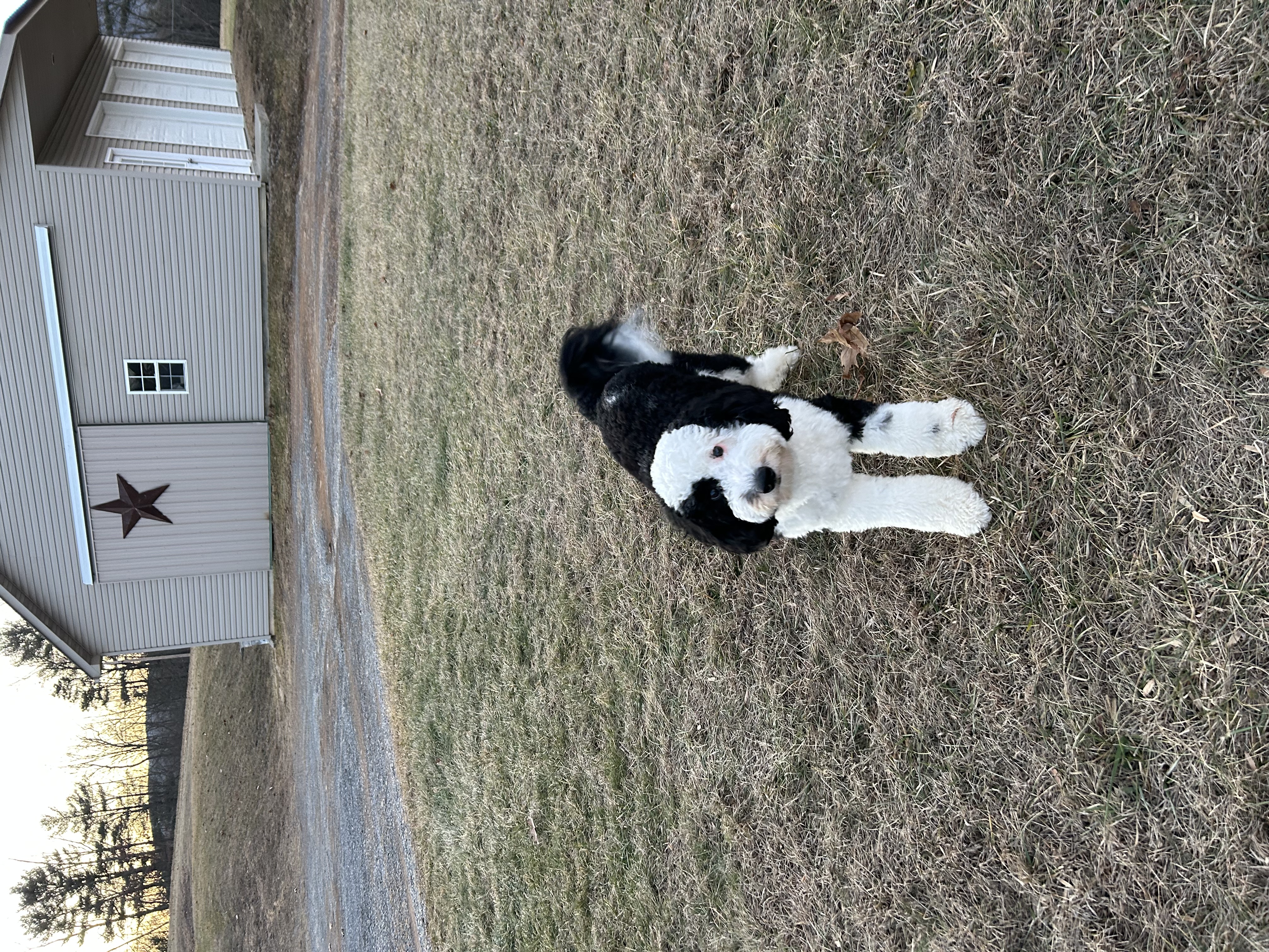 Photo Review Submission from Sheila Ketchem