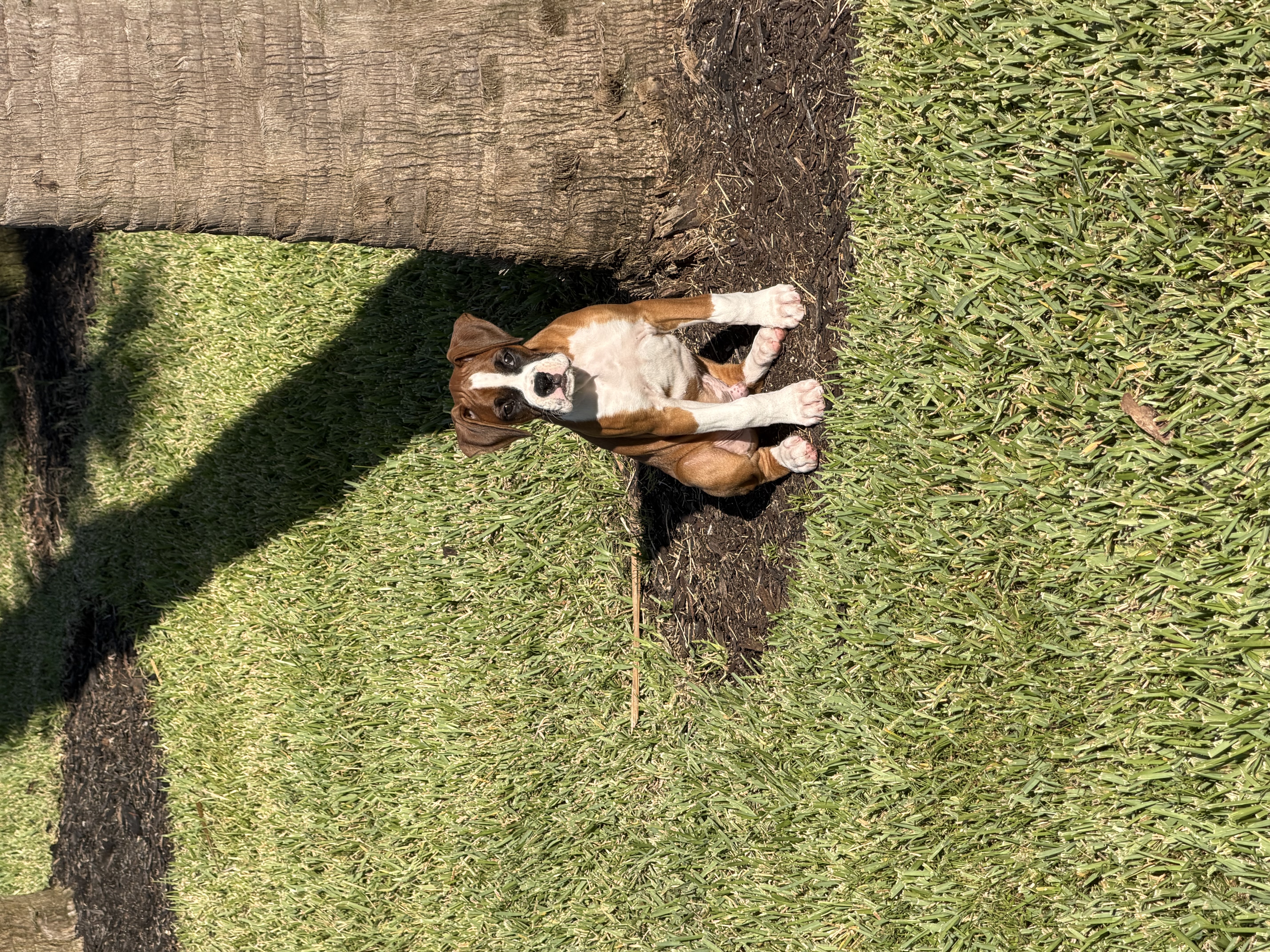 Photo Review Submission from Ike Brinson