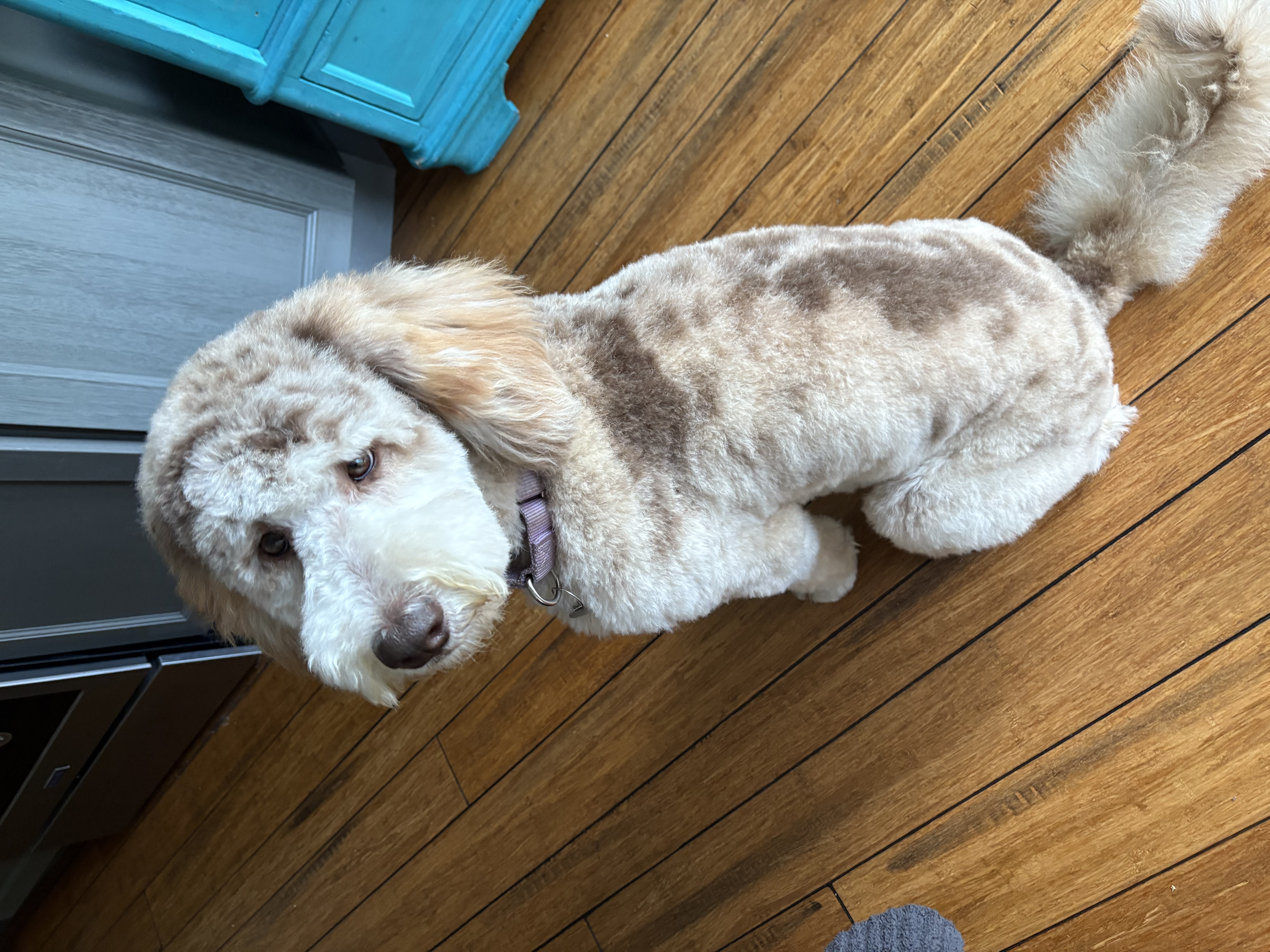 Photo Review Submission from Julie Carson