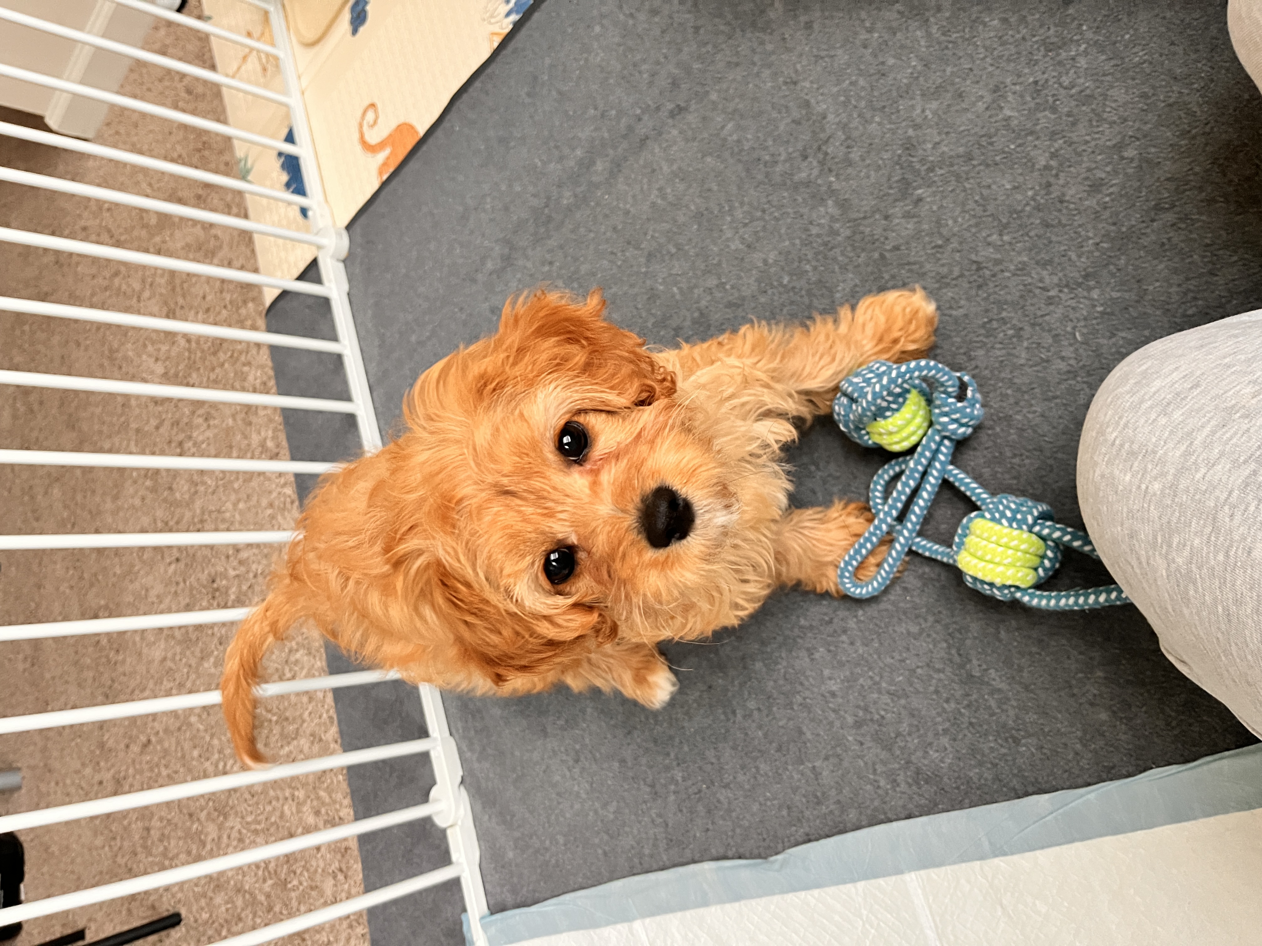 Photo Review Submission from Kay Yang