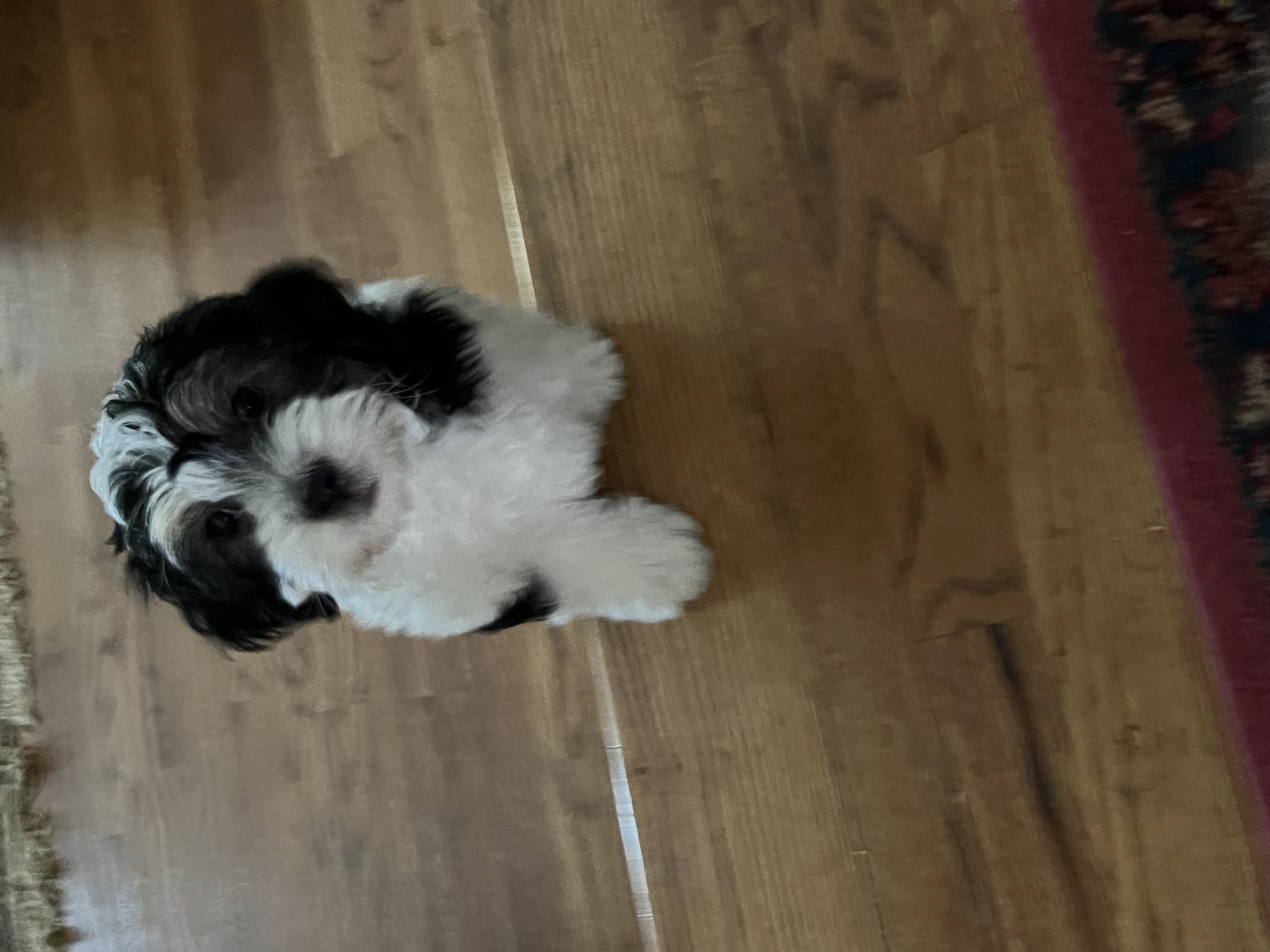 Photo Review Submission from Donna Nekarda