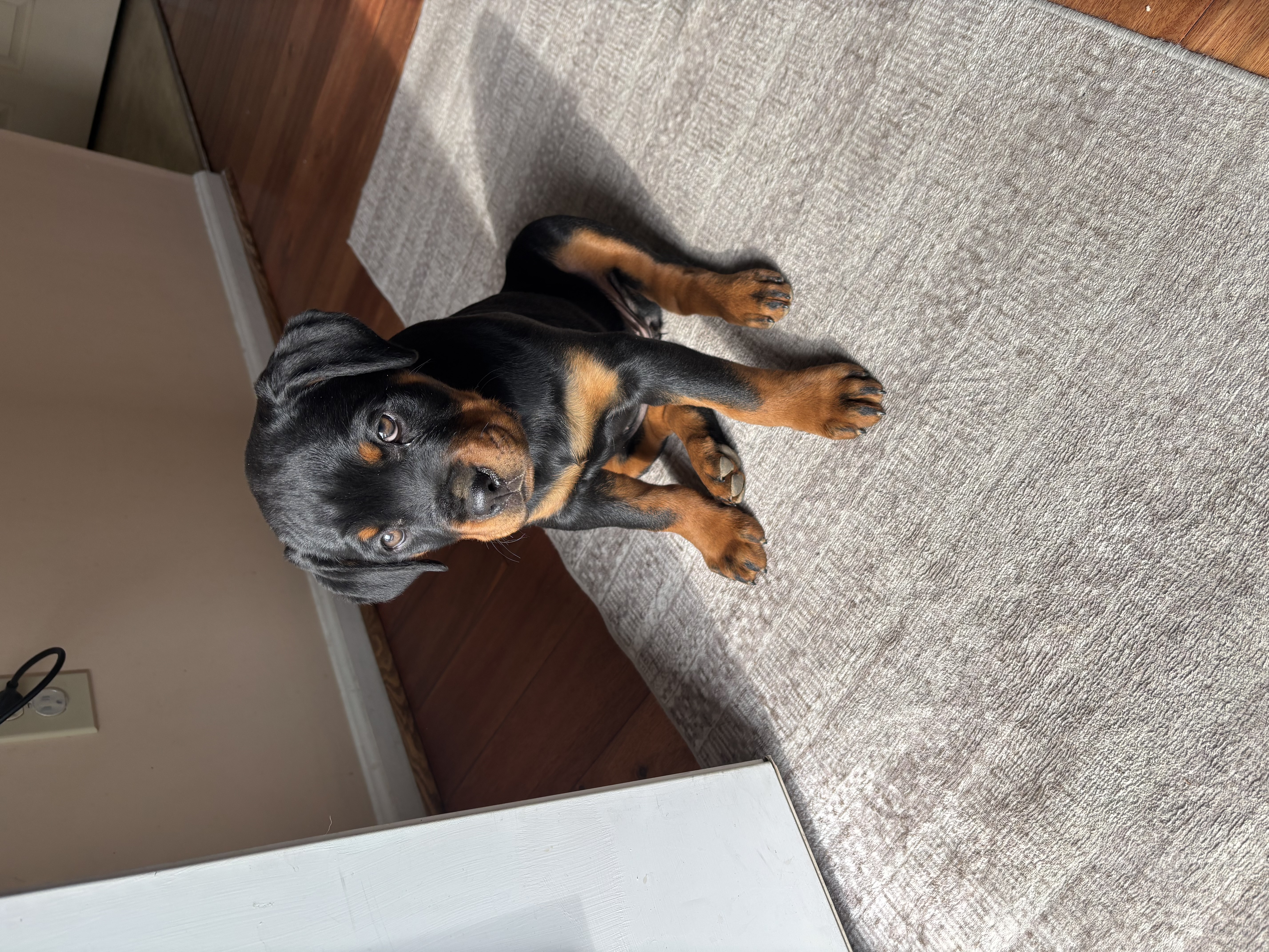 Photo Review Submission from Lynn Stovall