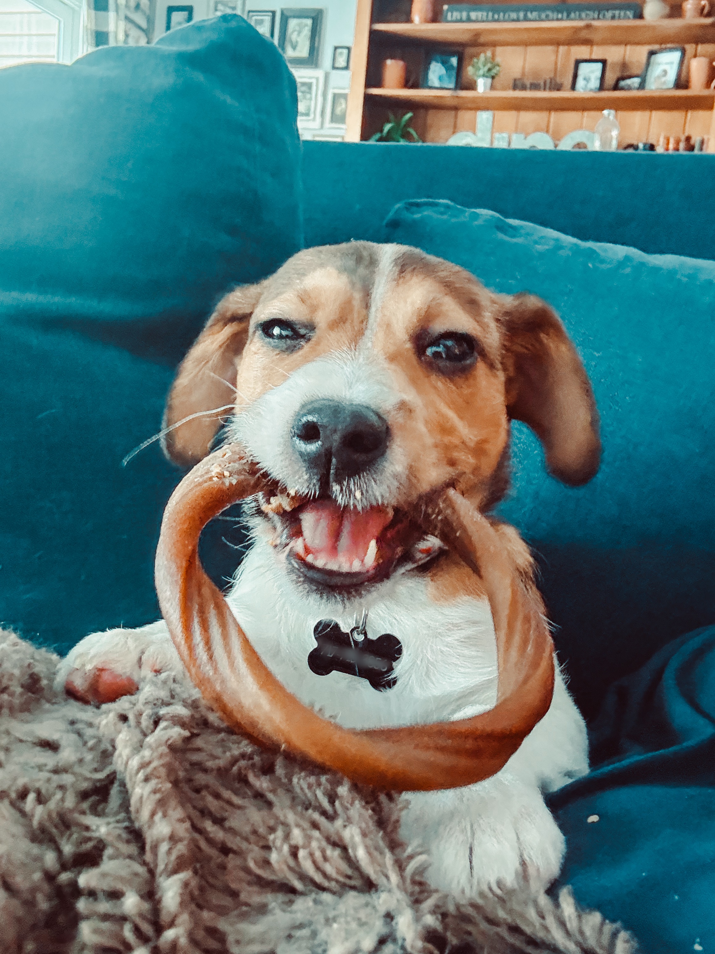 Photo Review Submission from Samara Richards