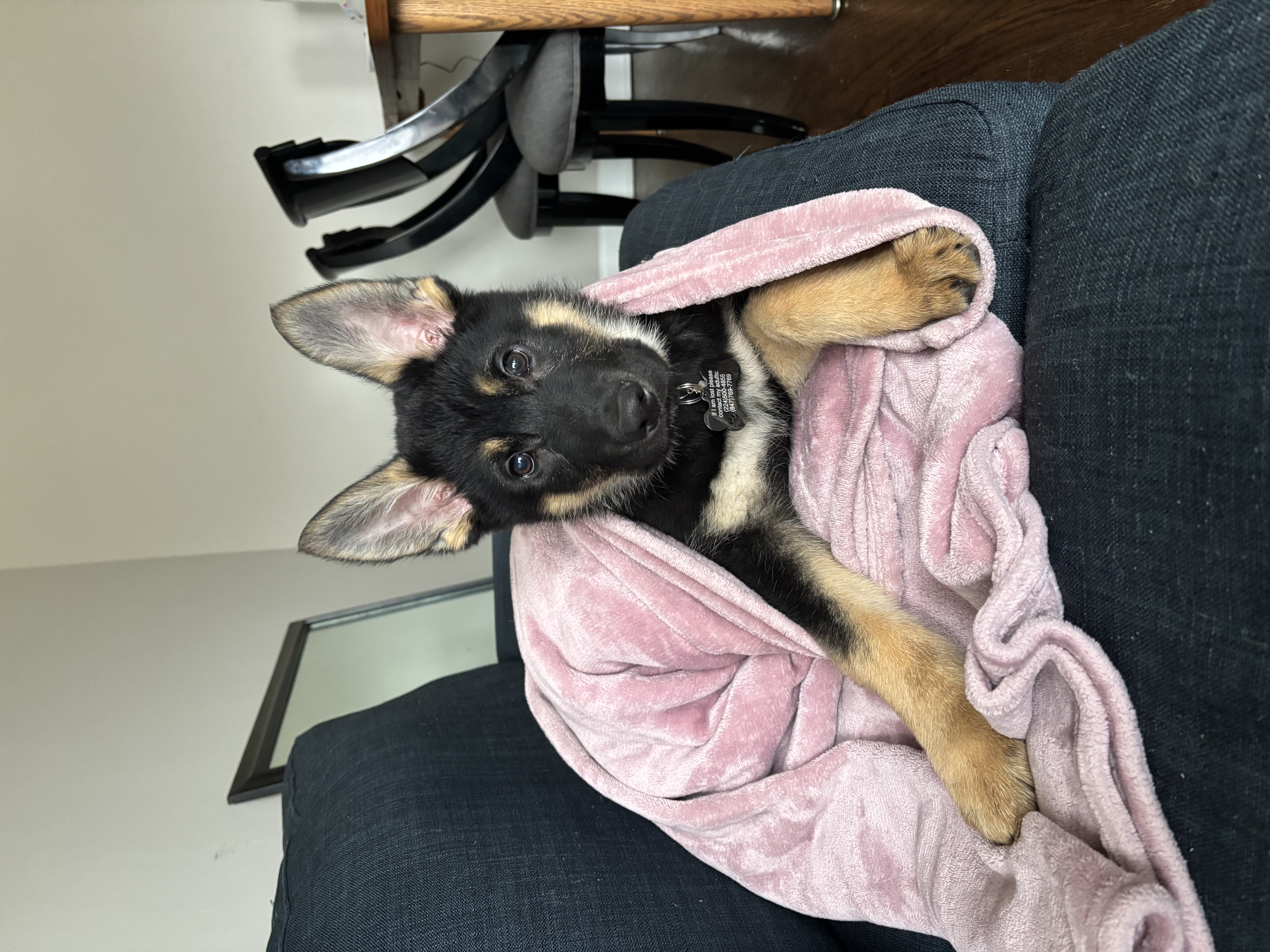 Photo Review Submission from Kaja R