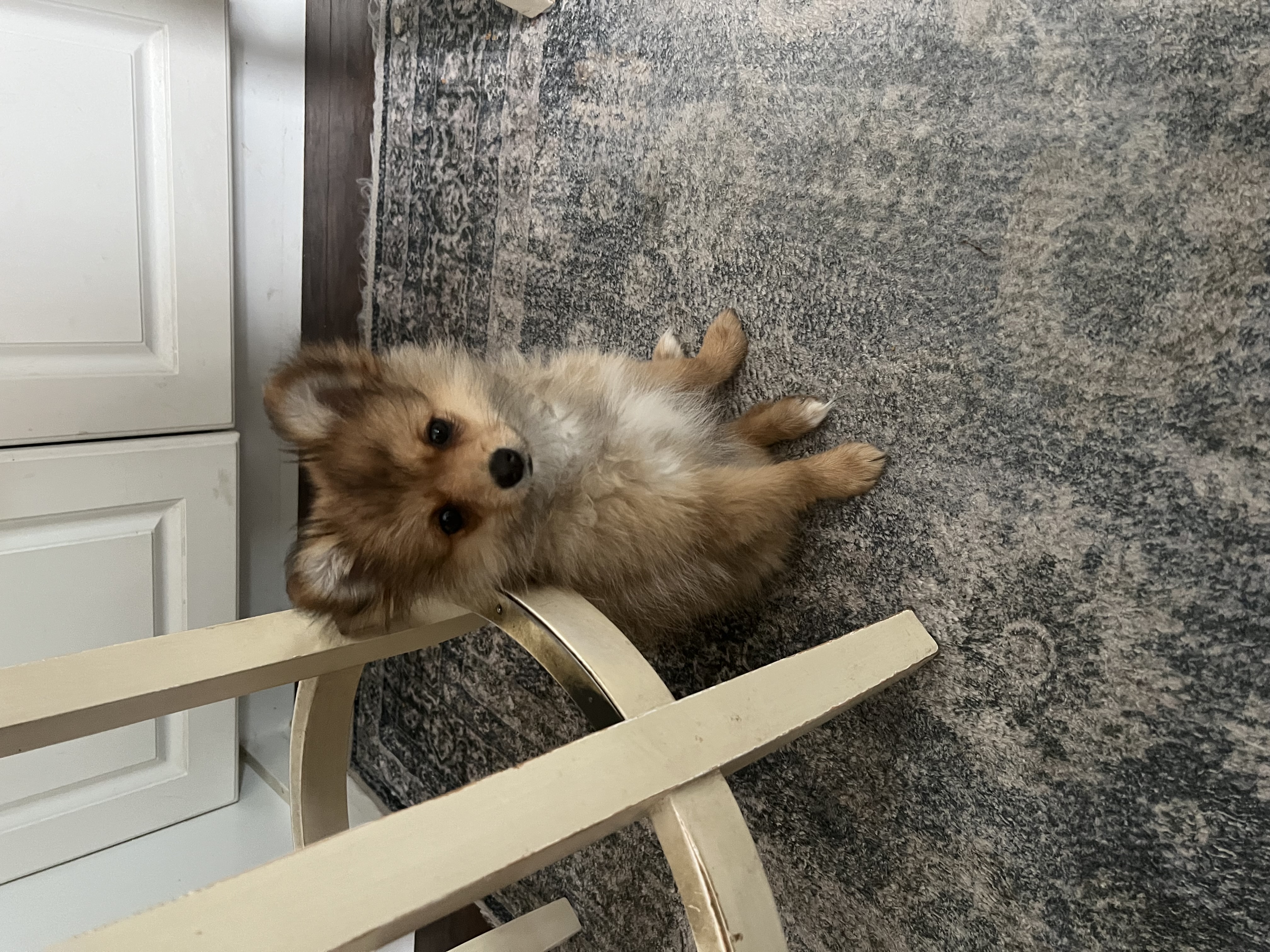 Photo Review Submission from Laura Rocha