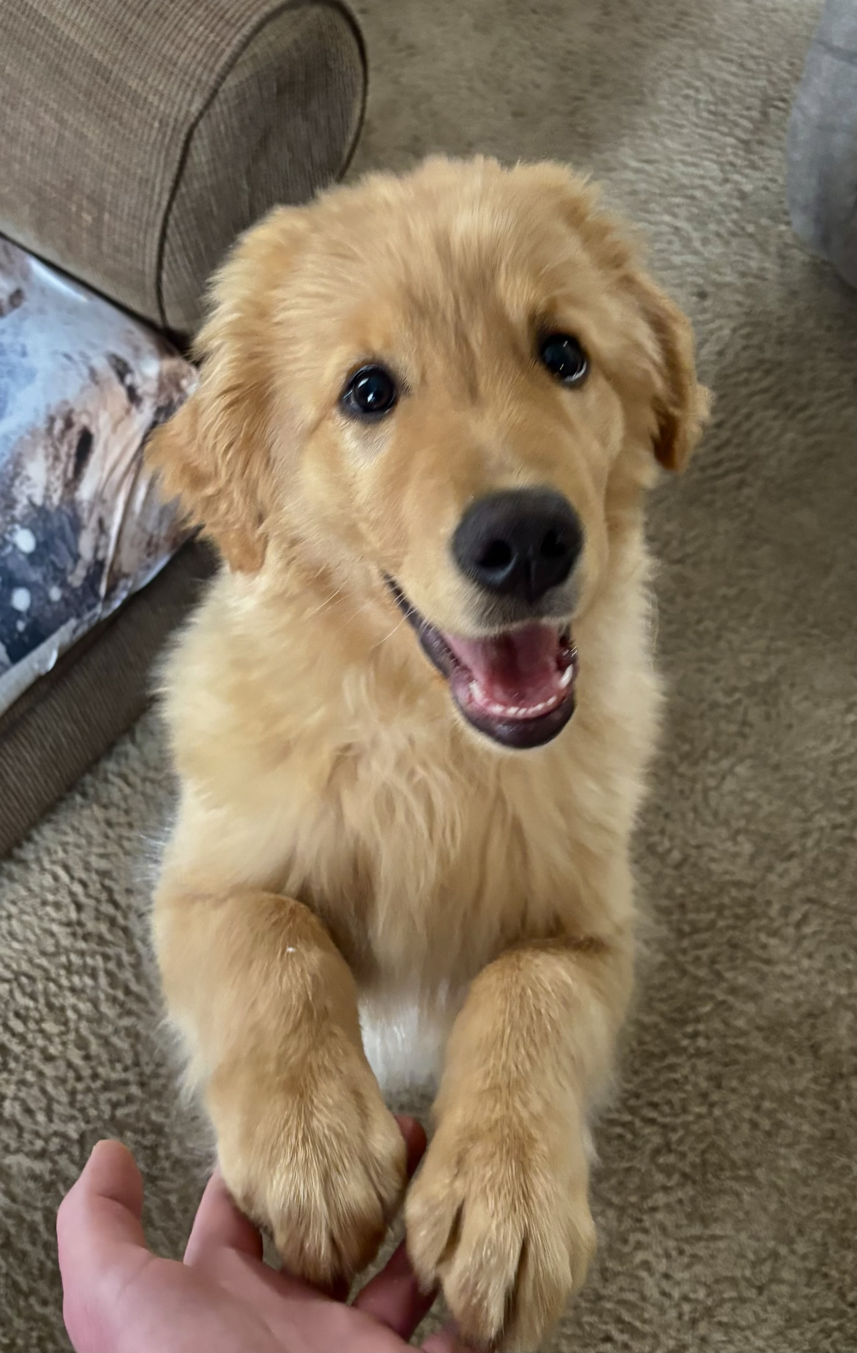 Photo Review Submission from Michelle Beblar