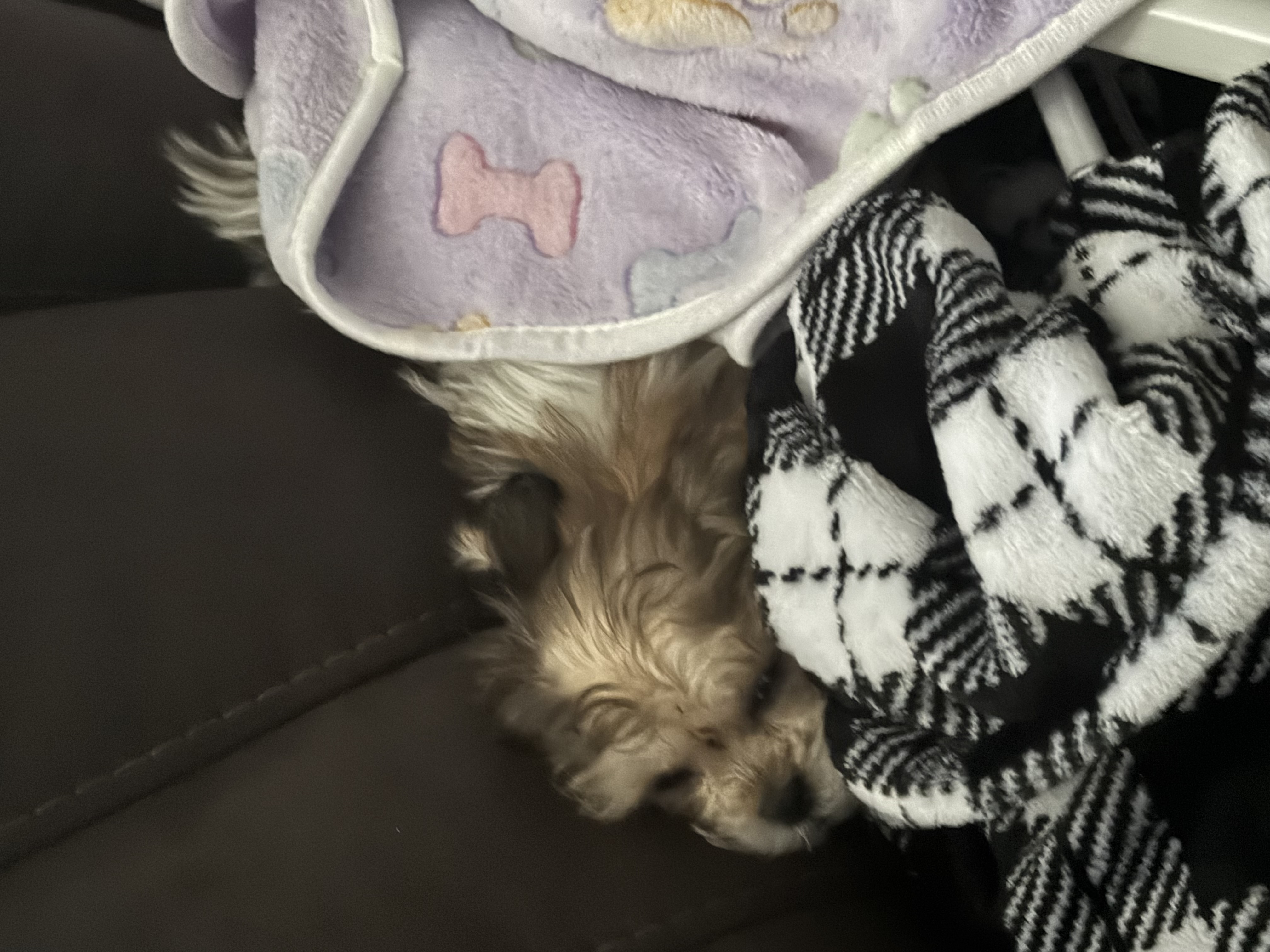 Photo Review Submission from Jeremy McKinney