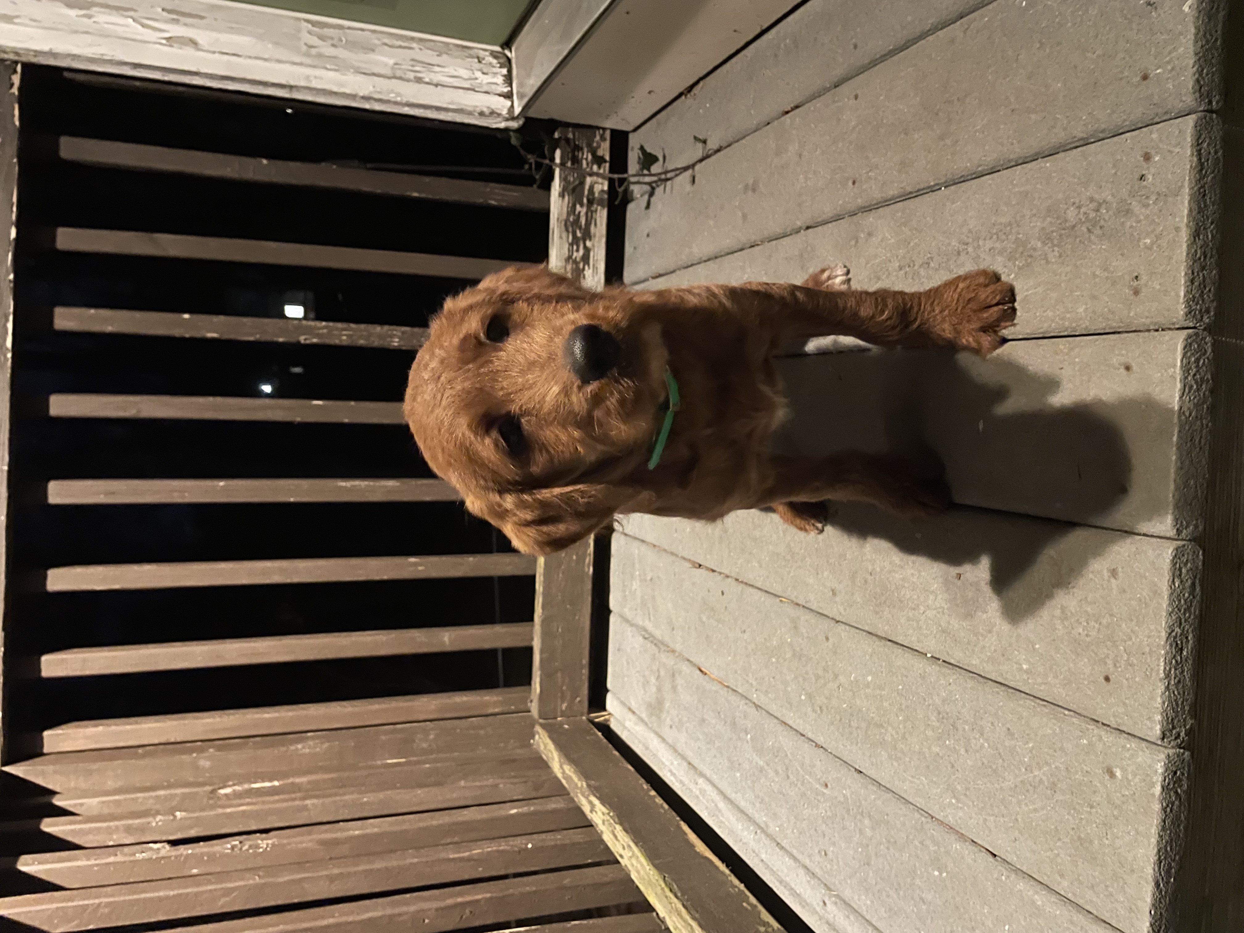 Photo Review Submission from Mike Velozo