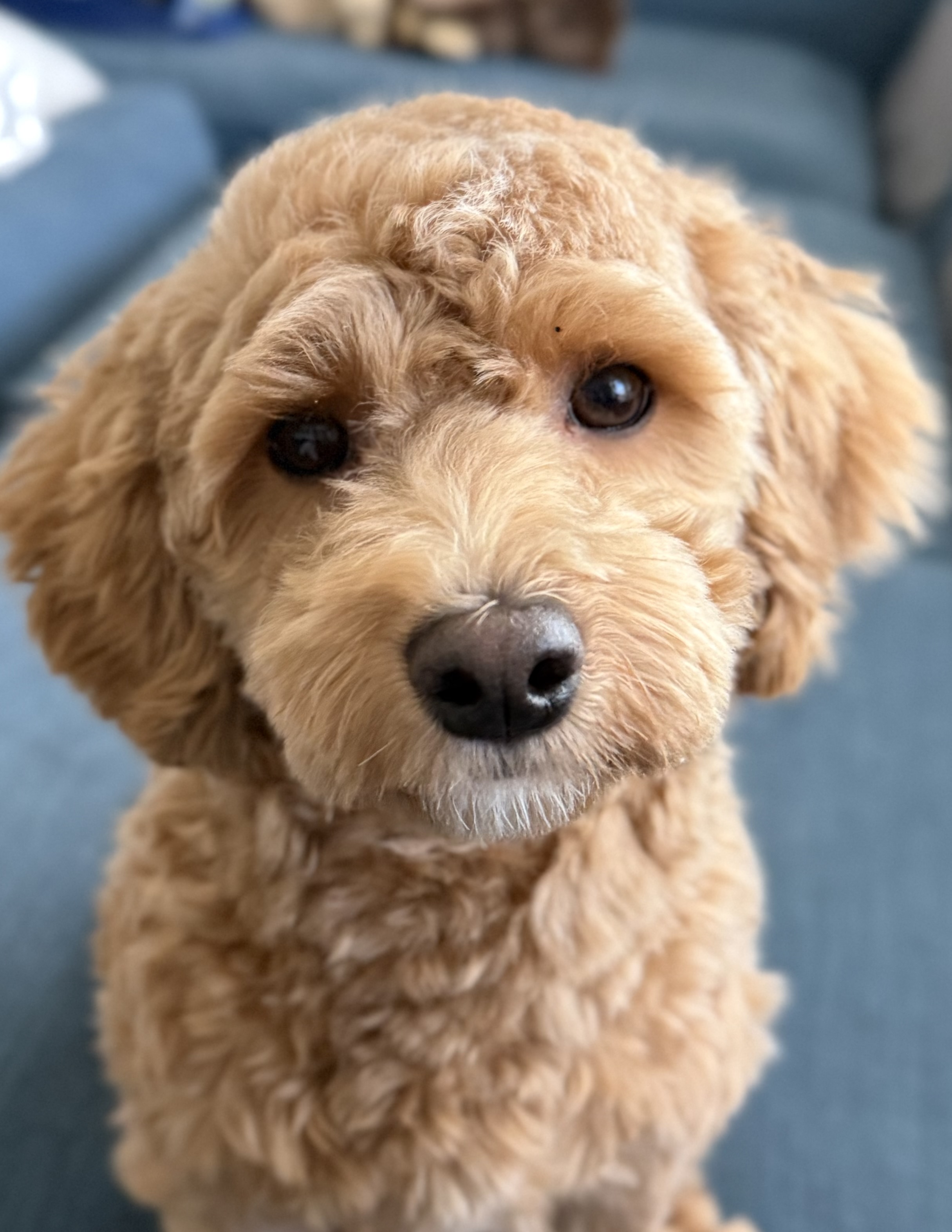 Photo Review Submission from Emily Savidge