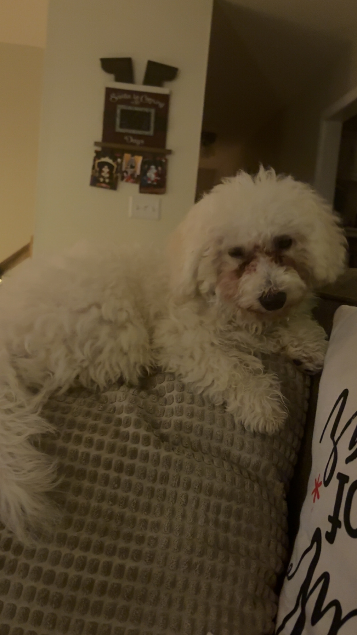 Photo Review Submission from Melissa McNulty