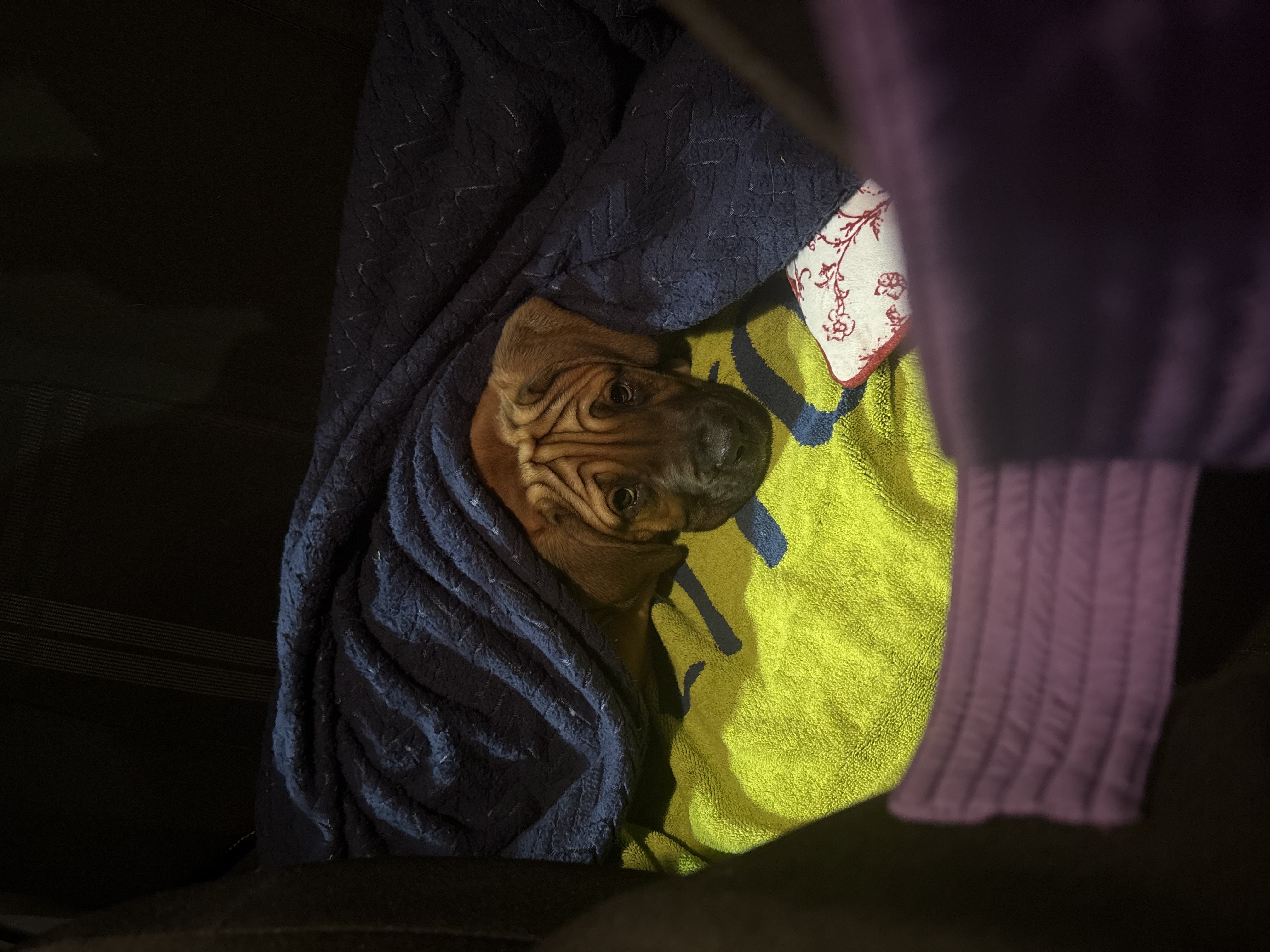 Photo Review Submission from Catherine & Nick S & N